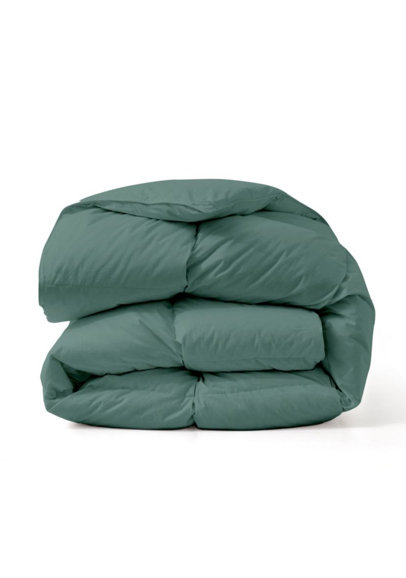 All Season Cotton Down and Feather Comforter