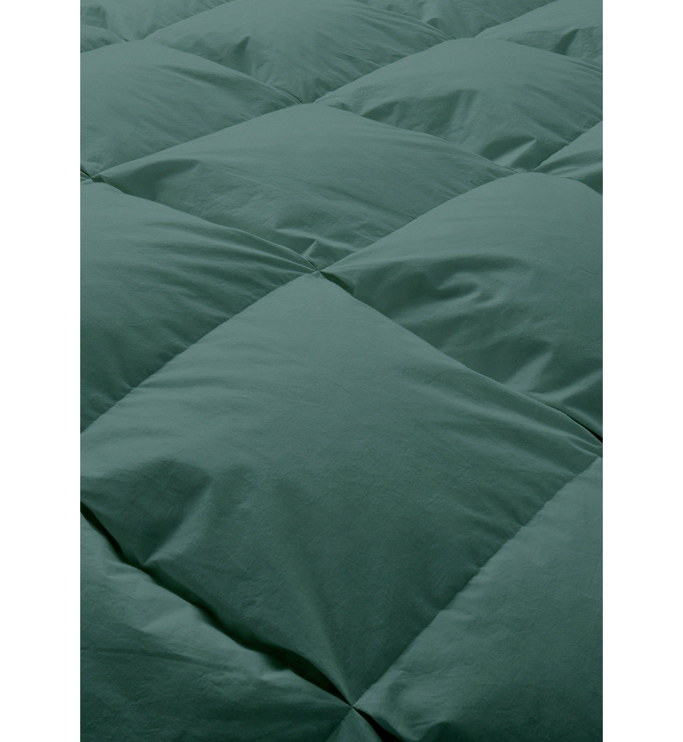 All Season Cotton Down and Feather Comforter