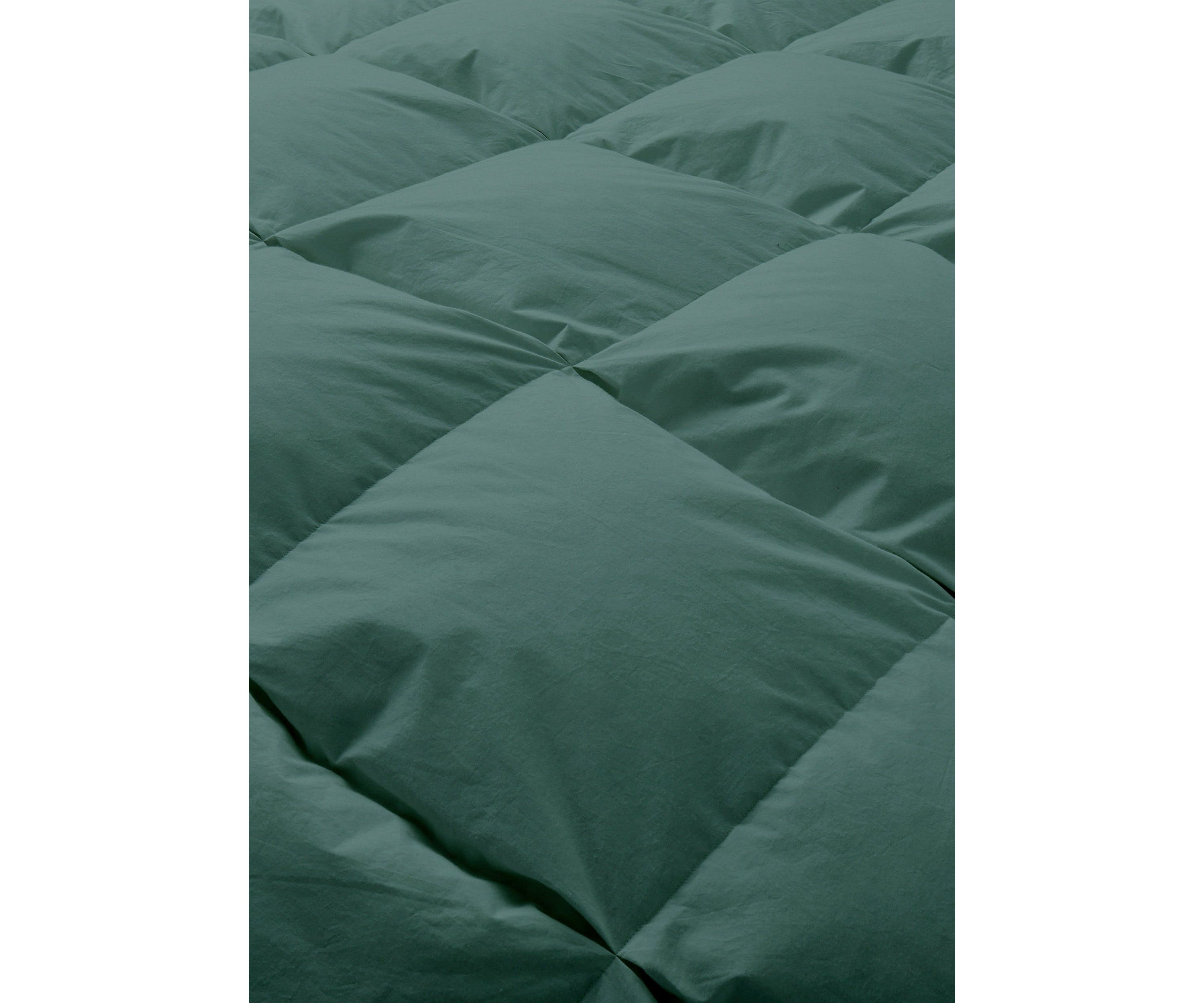 All Season Cotton Down and Feather Comforter