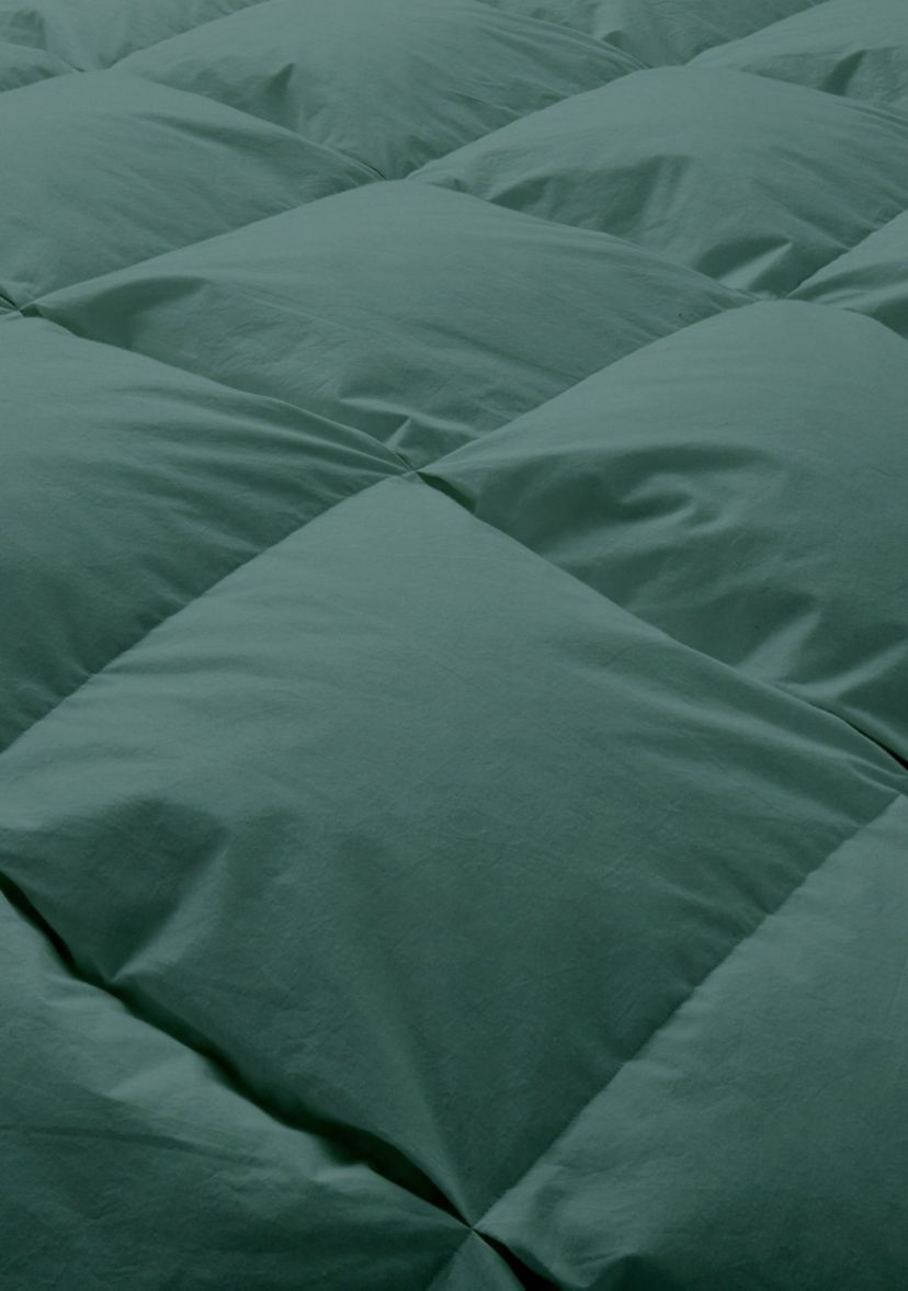 All Season Cotton Down and Feather Comforter