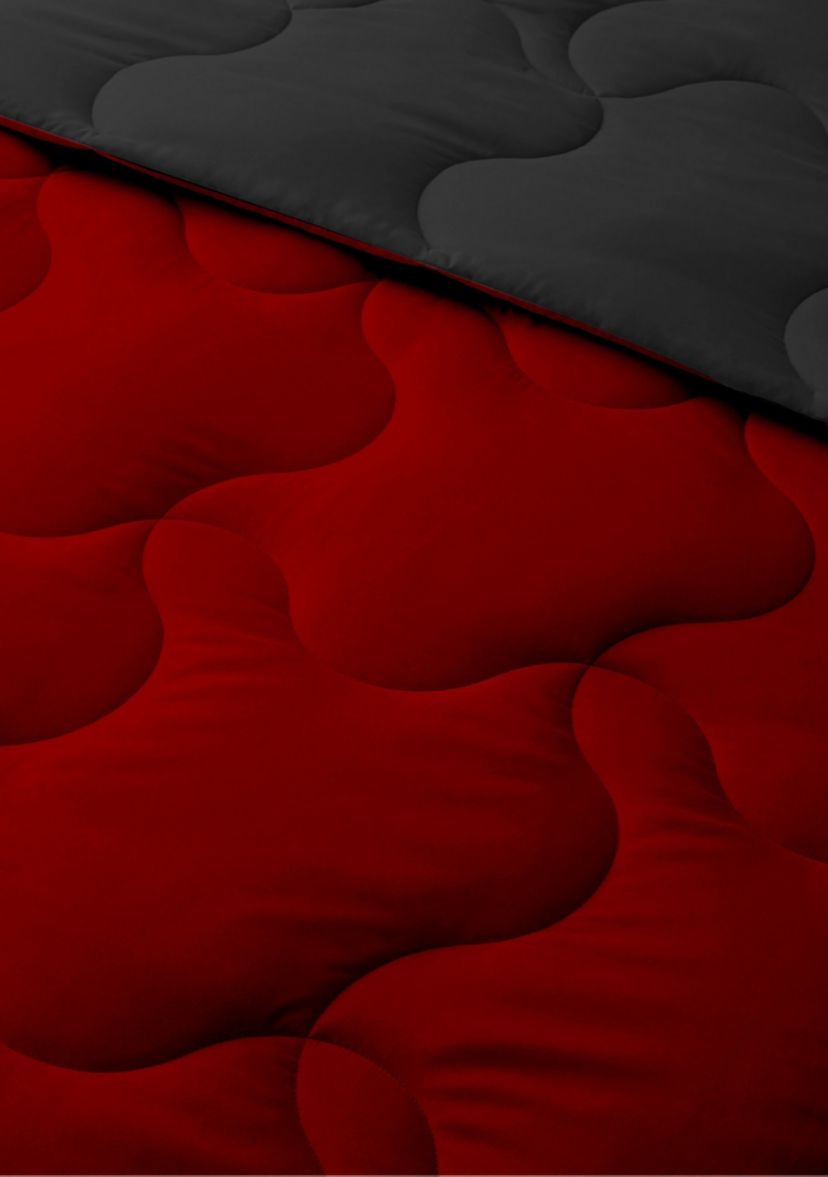 Lightweight Reversible Down Alternative Comforter Set