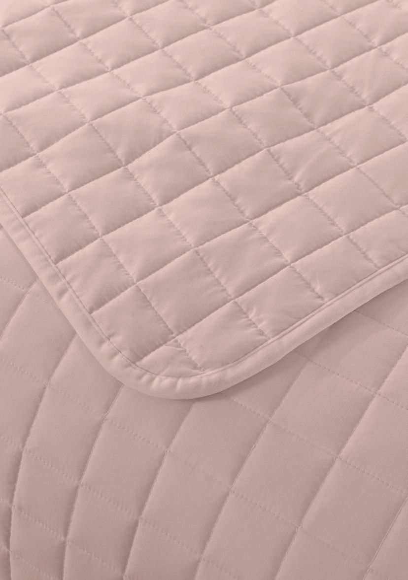 Velvet Trim Down Alternative Blanket