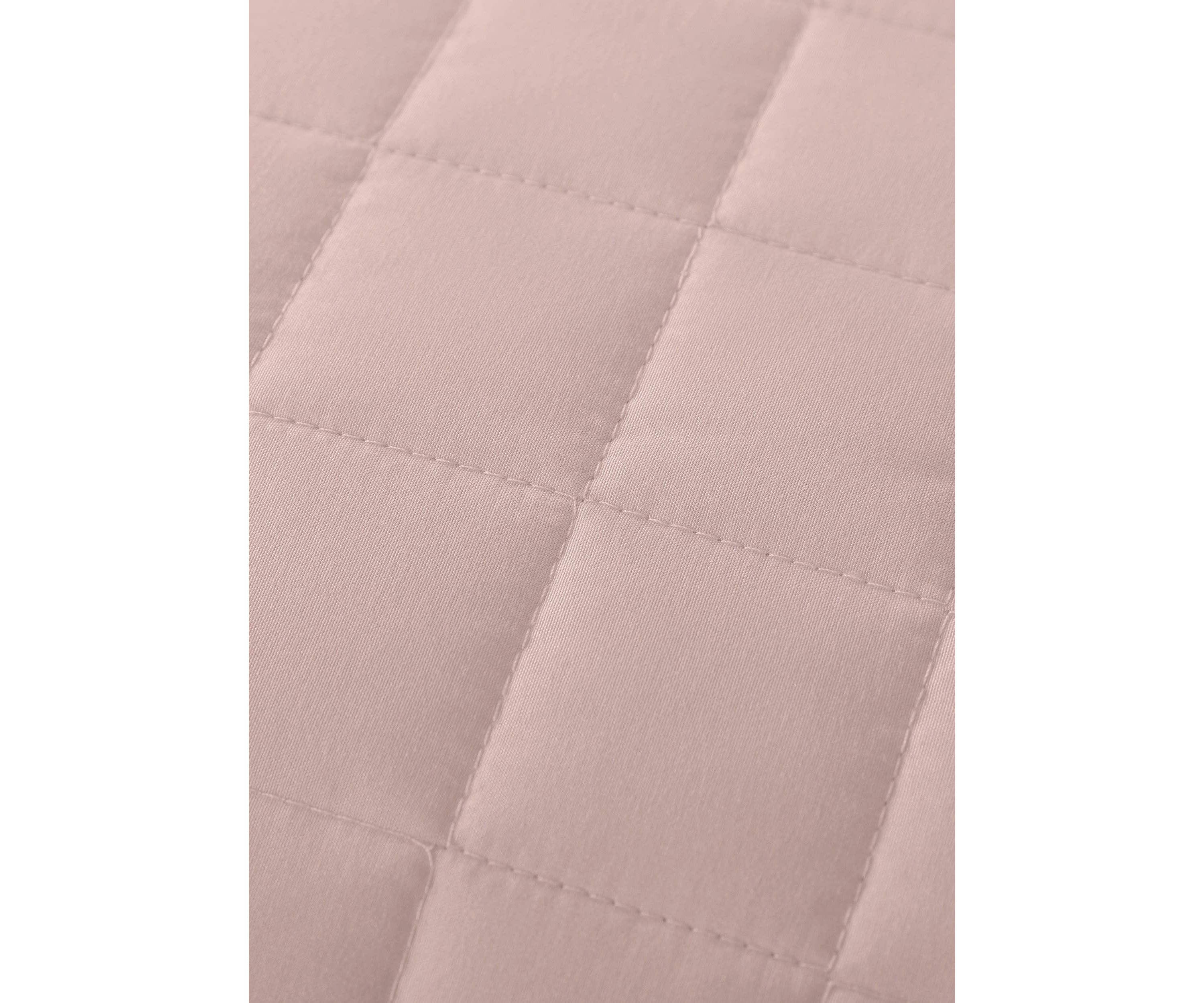 Velvet Trim Down Alternative Blanket