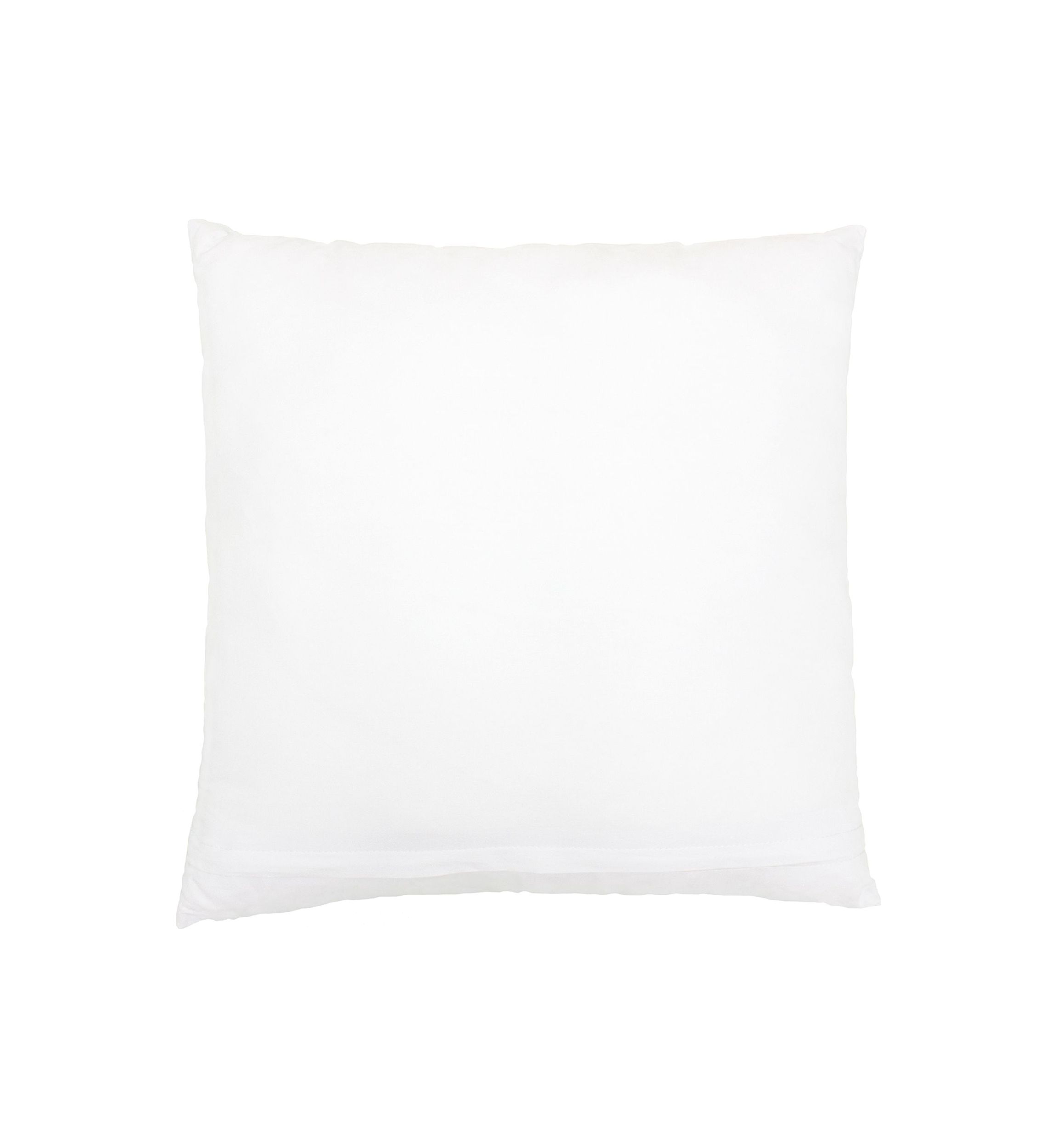MORNING GLORIES Decorative Pillow Cover