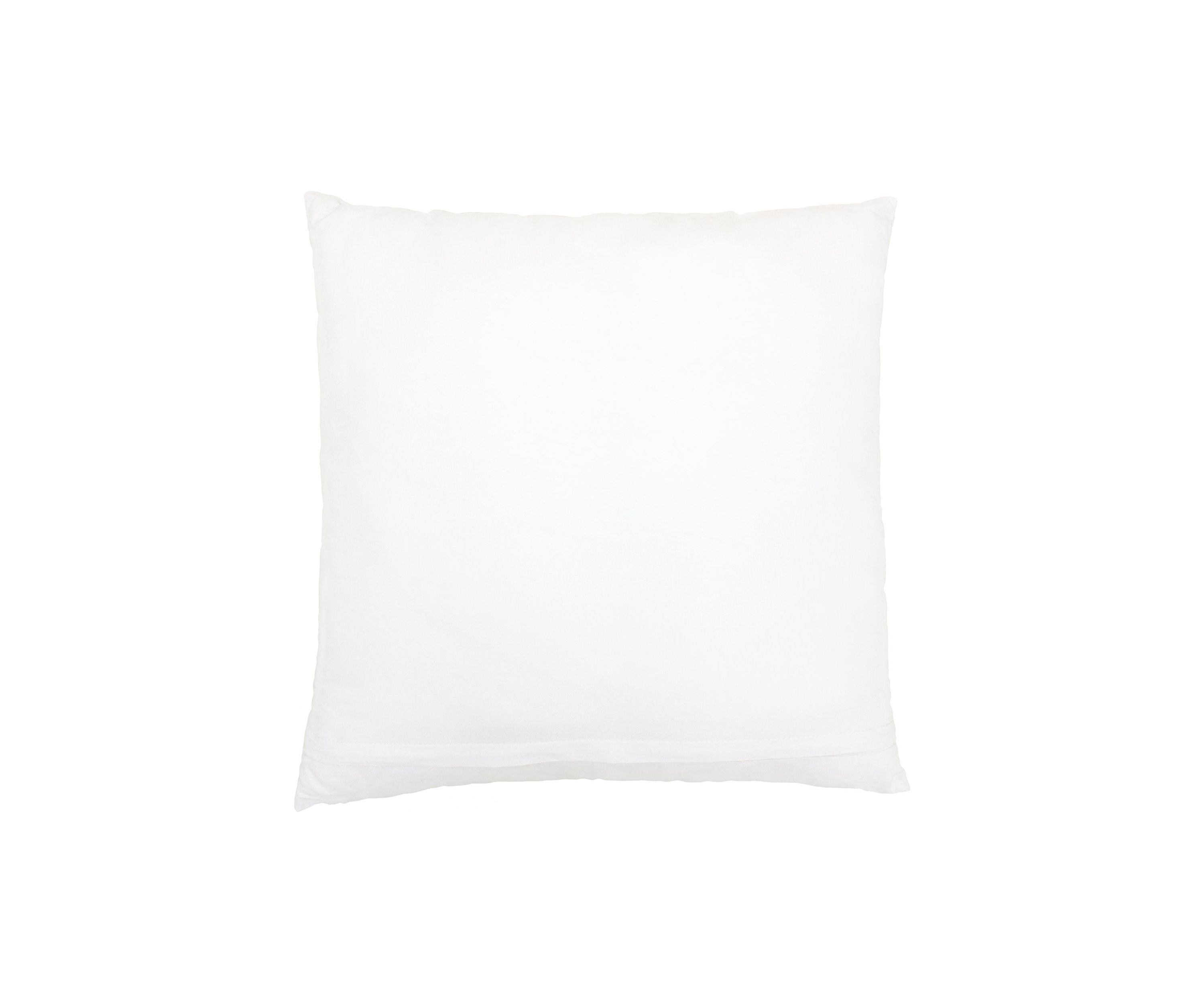 MORNING GLORIES Decorative Pillow Cover