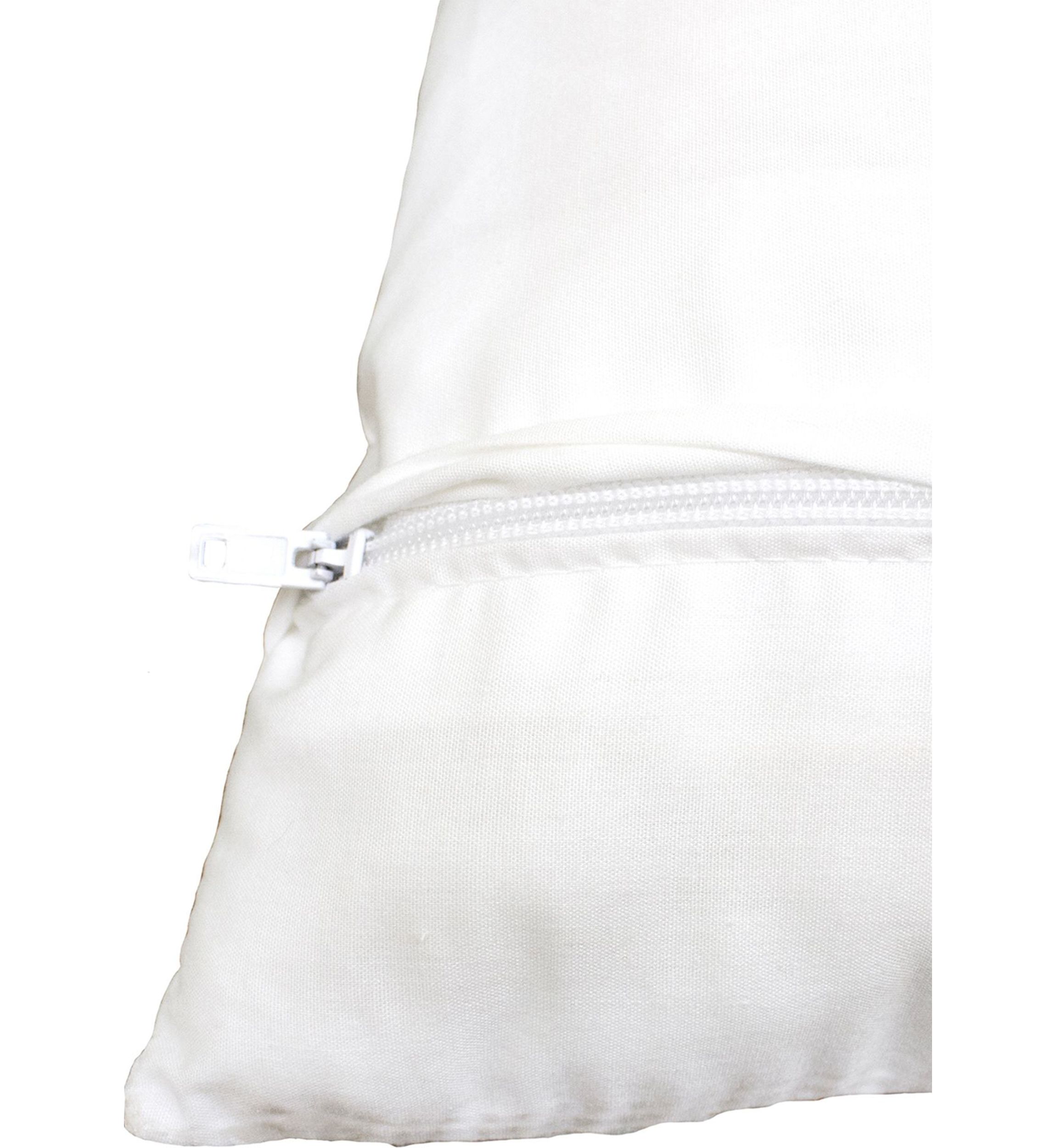MORNING GLORIES Decorative Pillow Cover