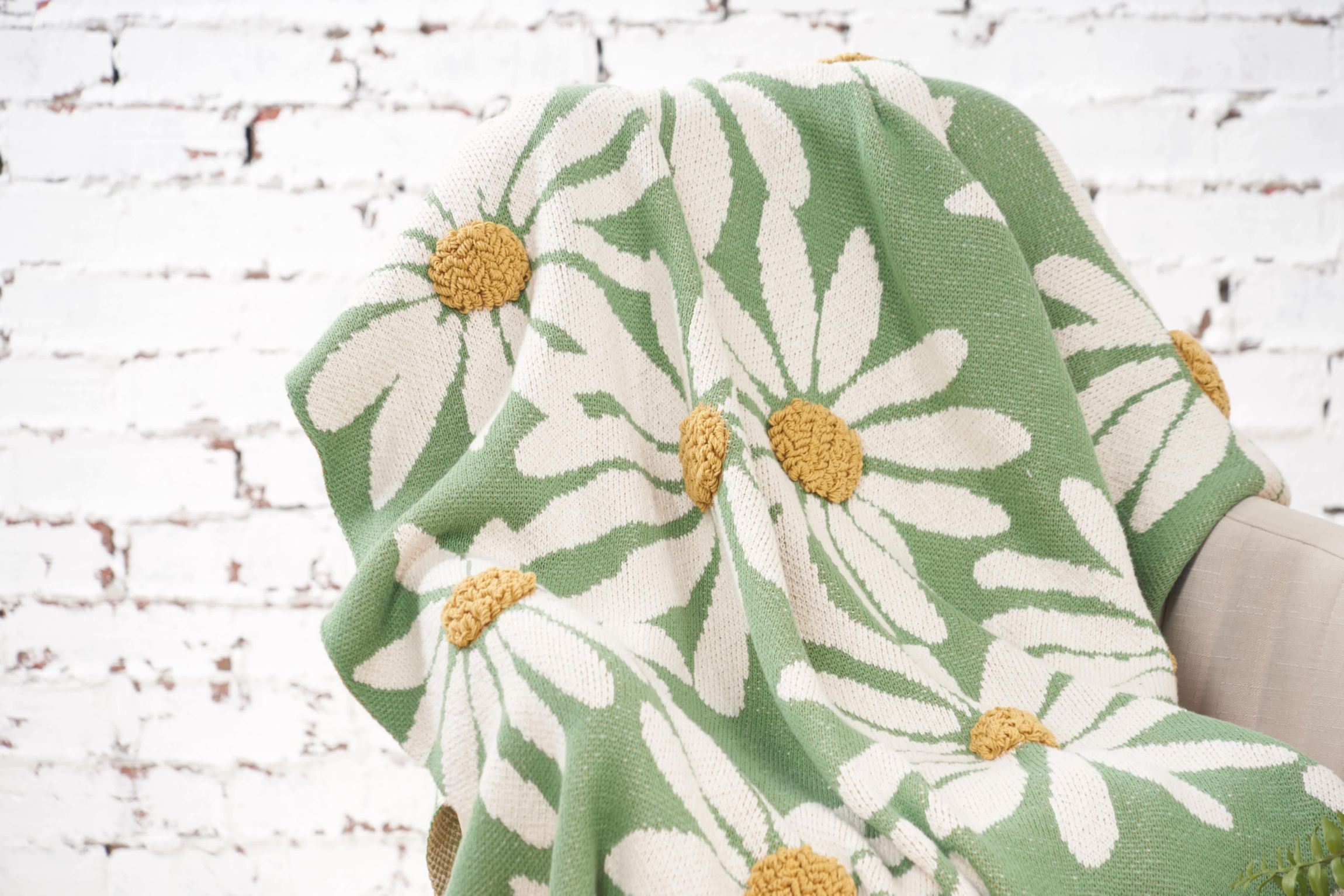 Daisy Throw 
