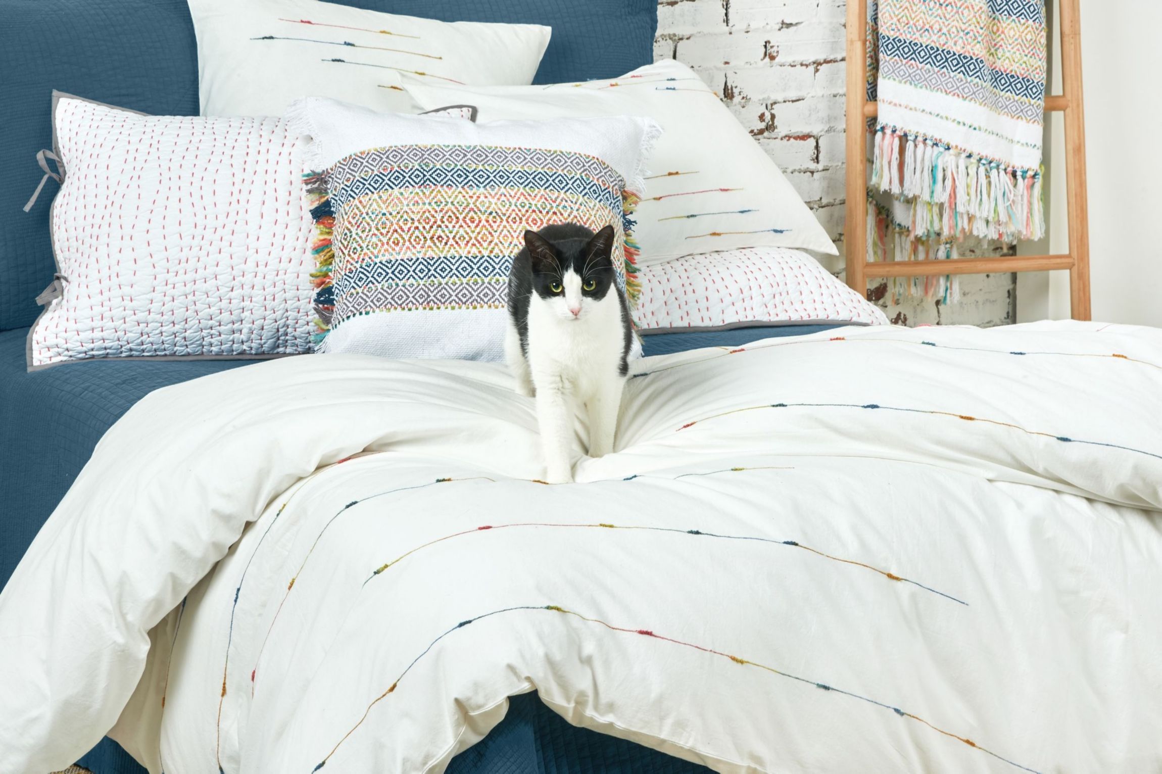20" x 26" Raina Standard Sham
