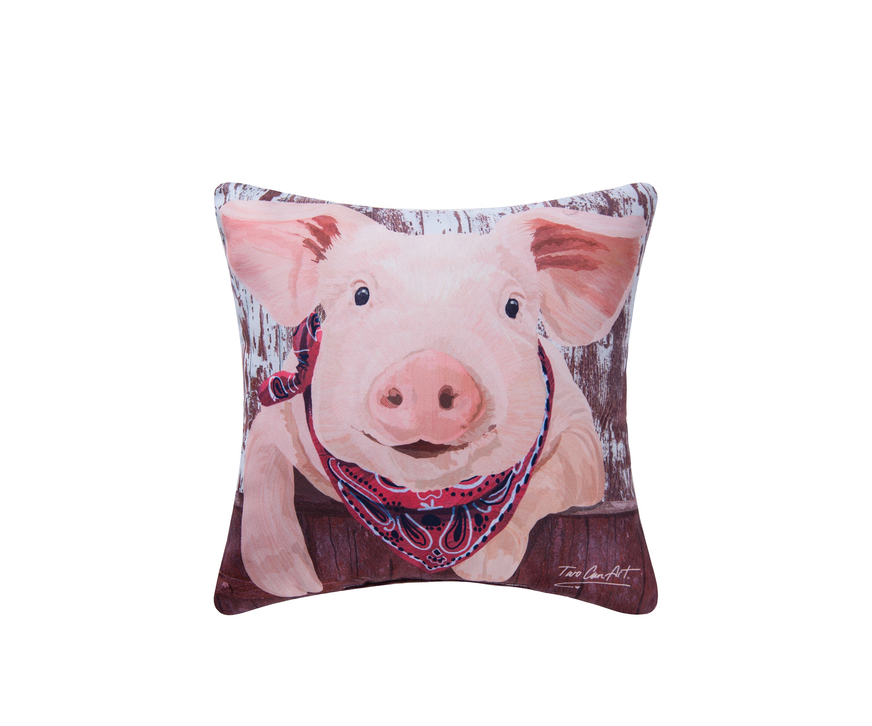 Pig Indoor/Outdoor Pillow