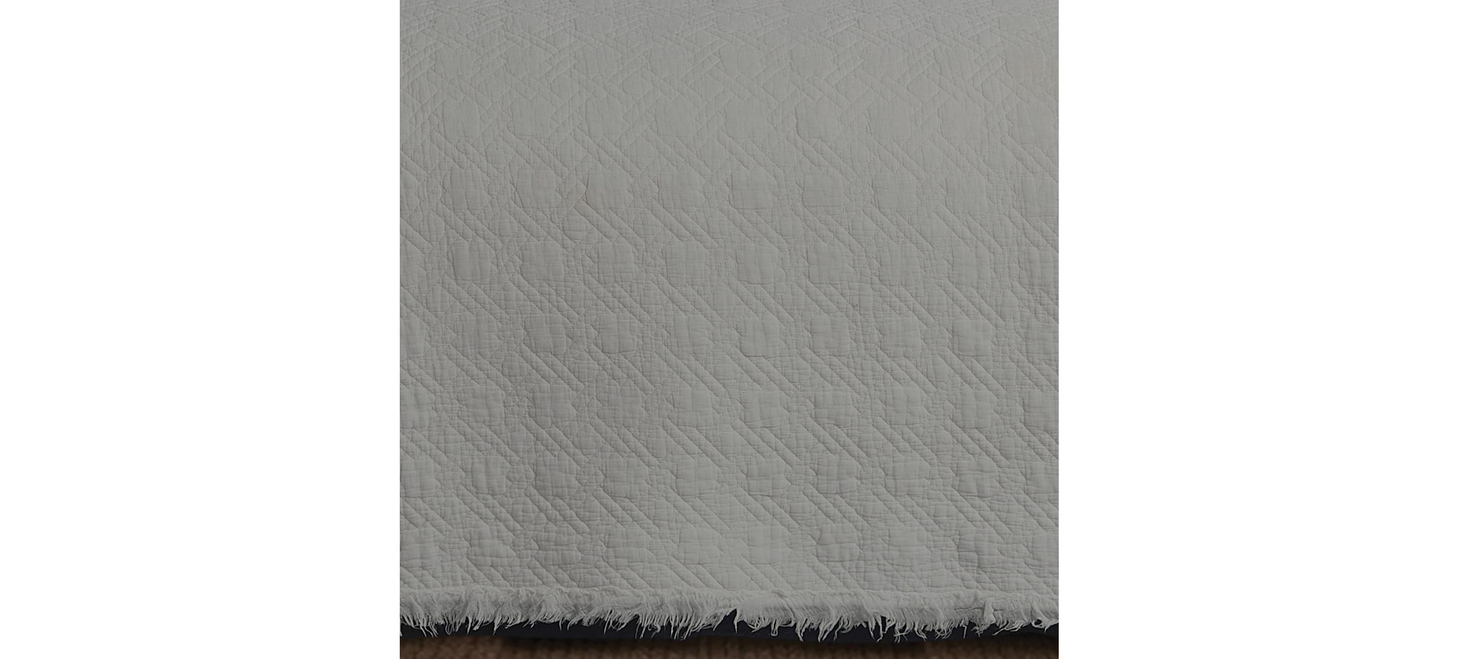 Trellis Slate Euro Sham Set