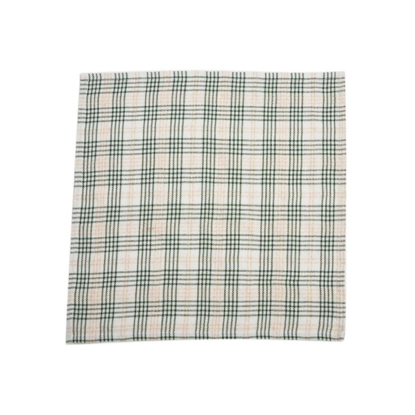Sage & Gold Plaid Cotton Napkin Set of 6