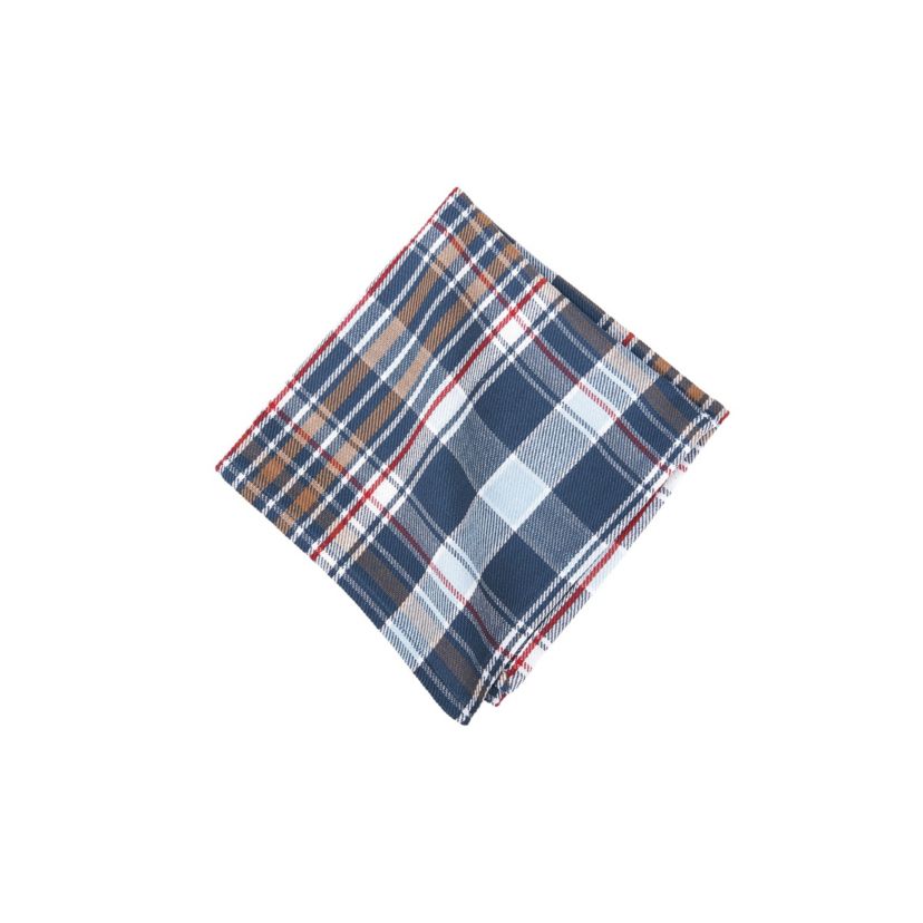 Lawson Lake Plaid Napkin Set of 6