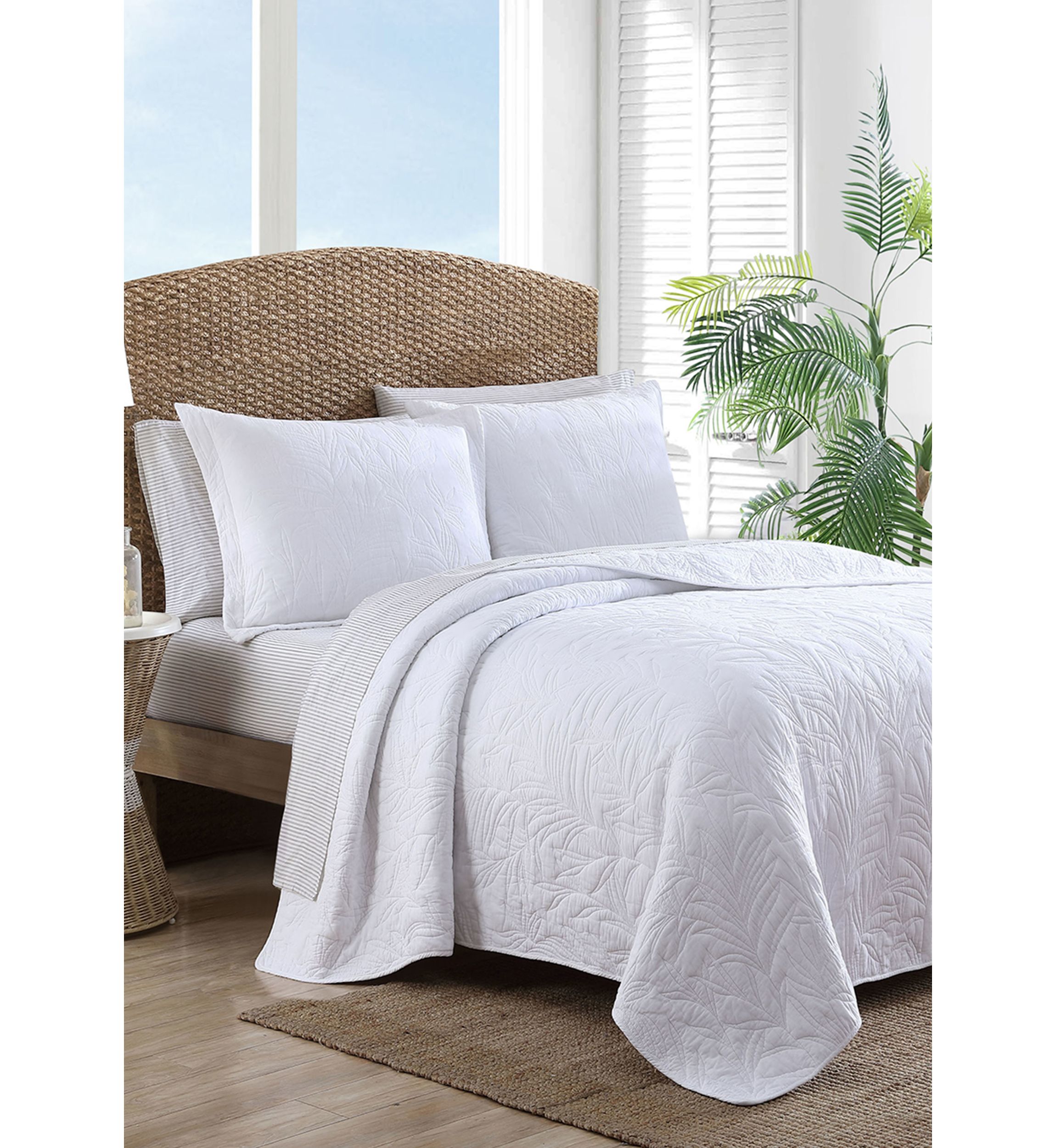 Solid Costa Sera Cotton Quilt