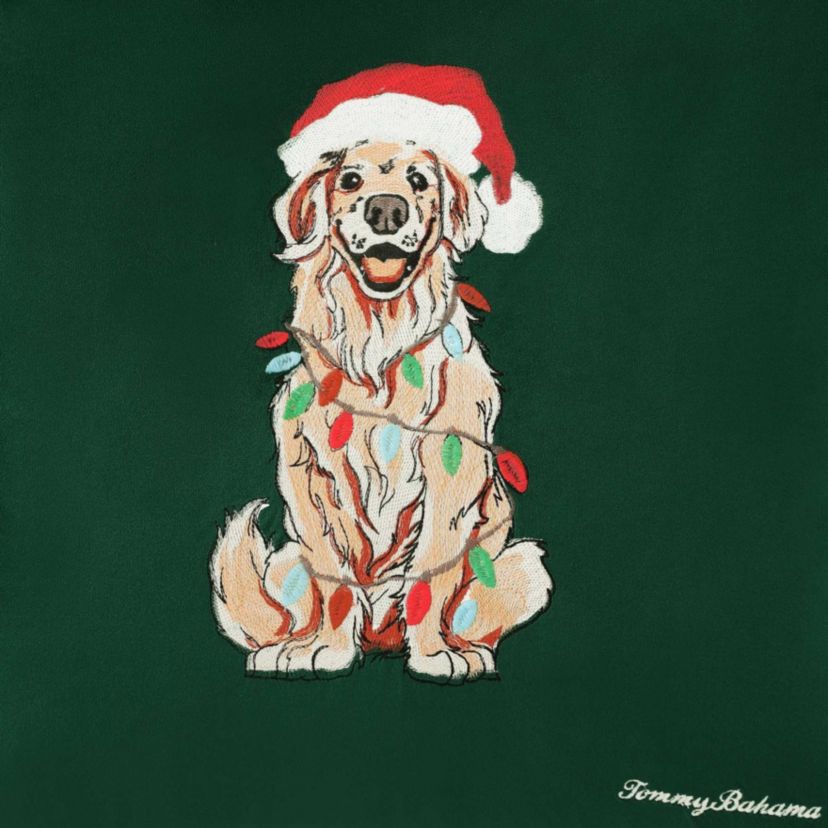 Holiday Retriever Microfiber Decorative Pillow