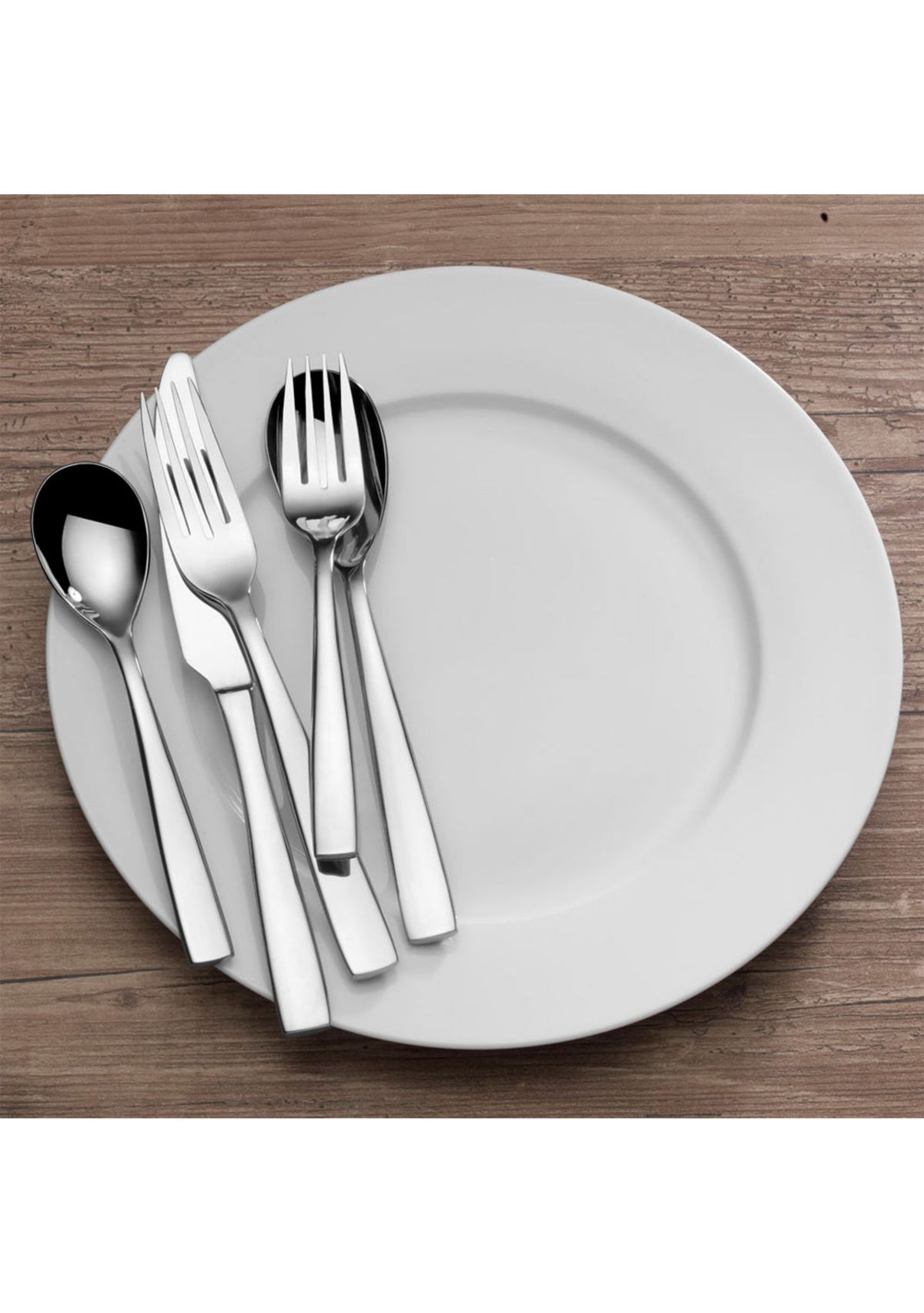 Delano 20 Piece Stainless Steel Flatware Set in Silver