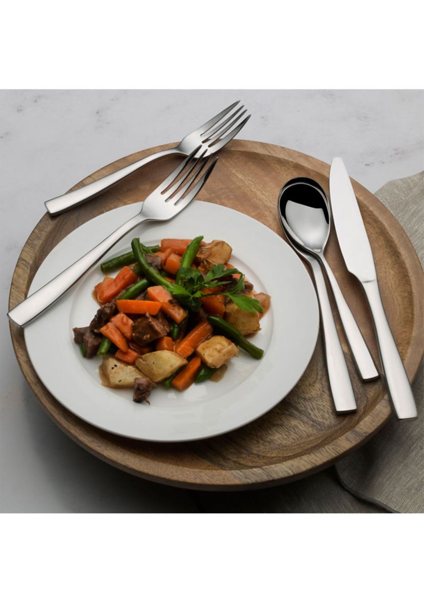 Delano 20 Piece Stainless Steel Flatware Set in Silver