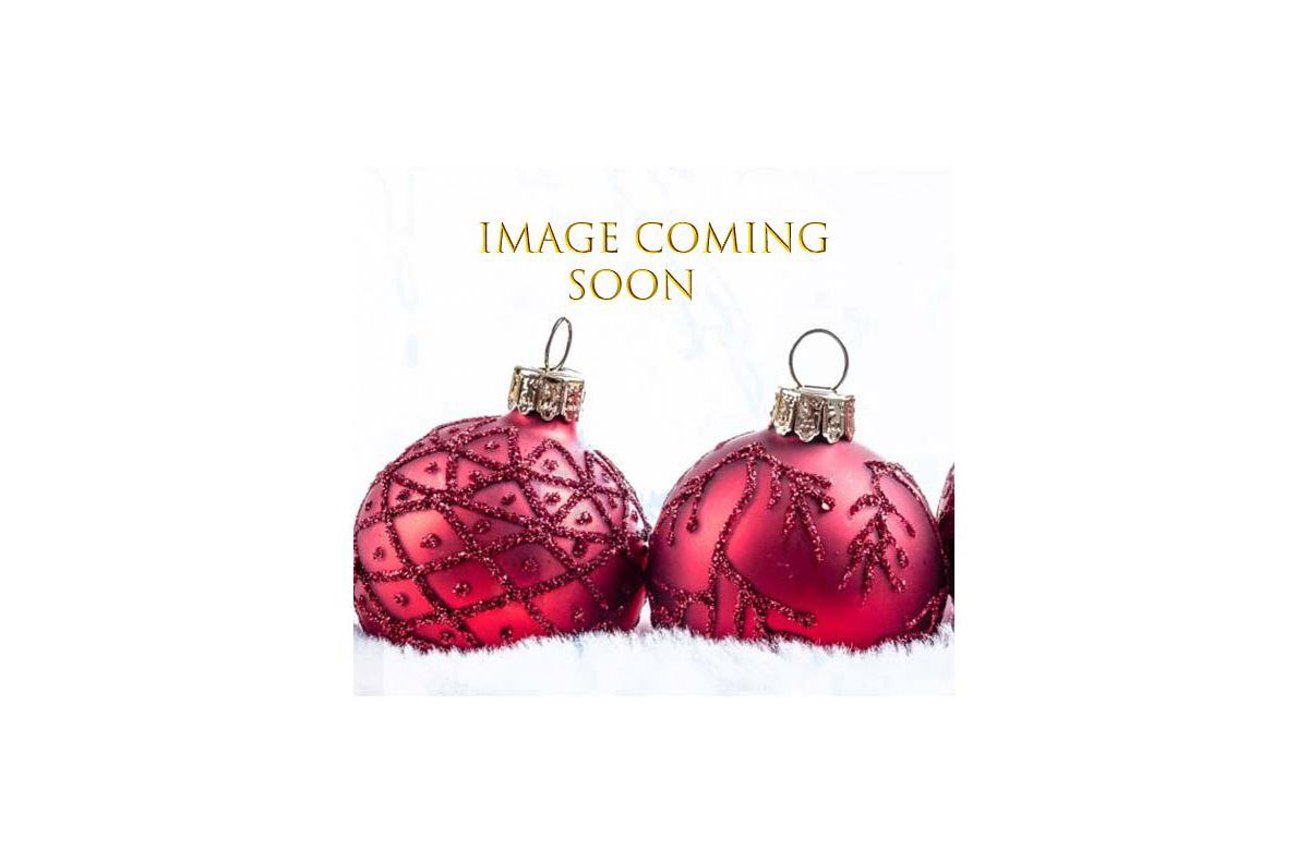 Peanuts 23.6-Inch  Santa Snoopy Outdoor Infinity Light