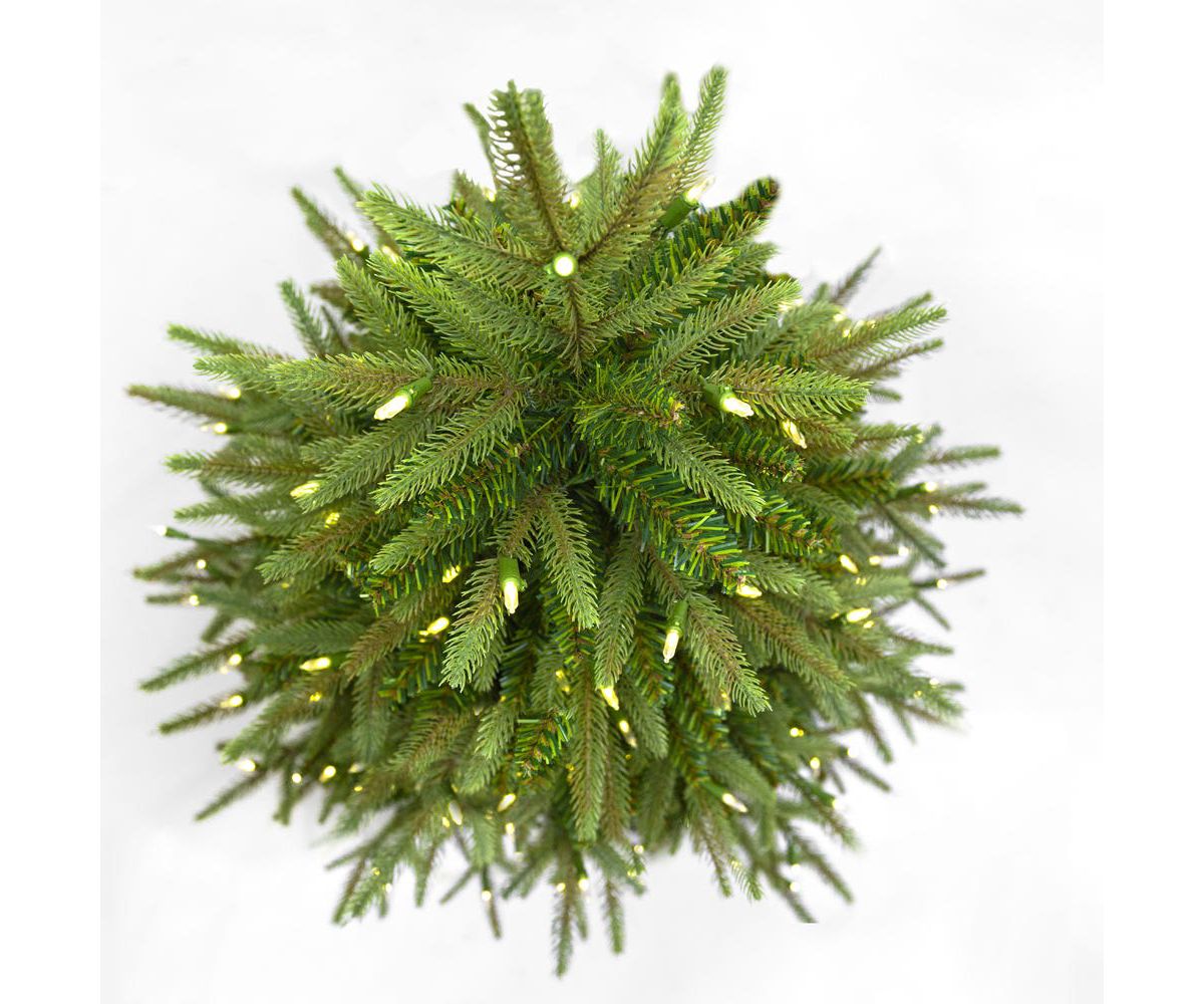 5-Foot 250-Light Incandescent Grand Fir Tree