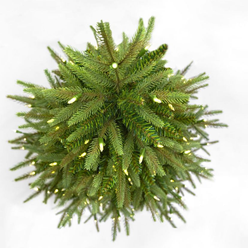 5-Foot 250-Light Incandescent Grand Fir Tree