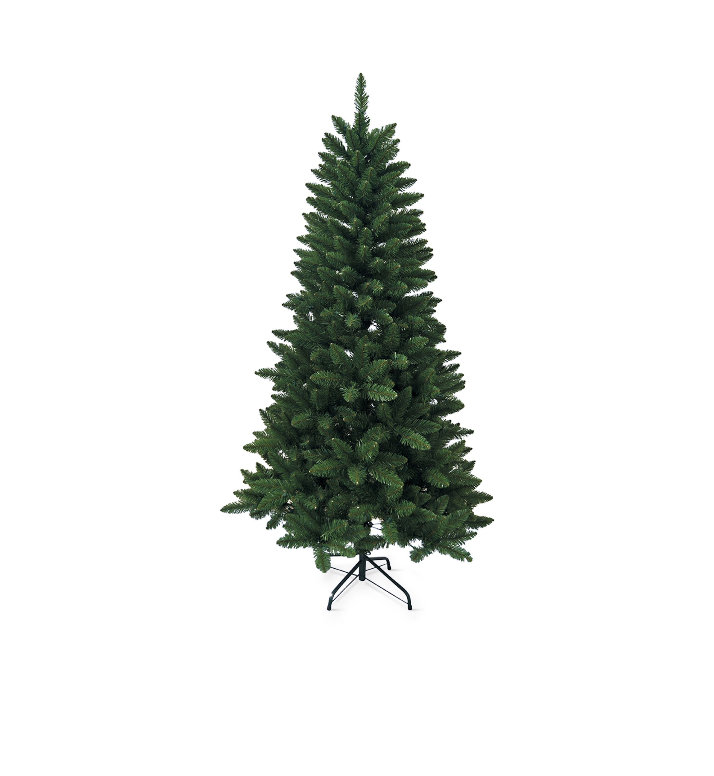Pine Tree