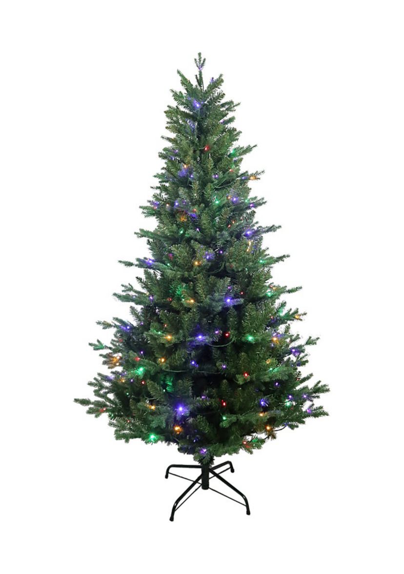 6 Foot Jackson P Inche Tree