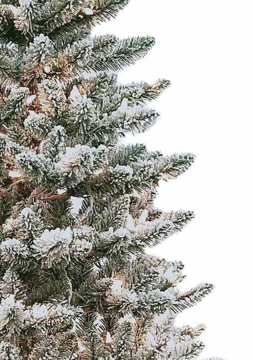 6 Pre Lit Snow Pine Tree