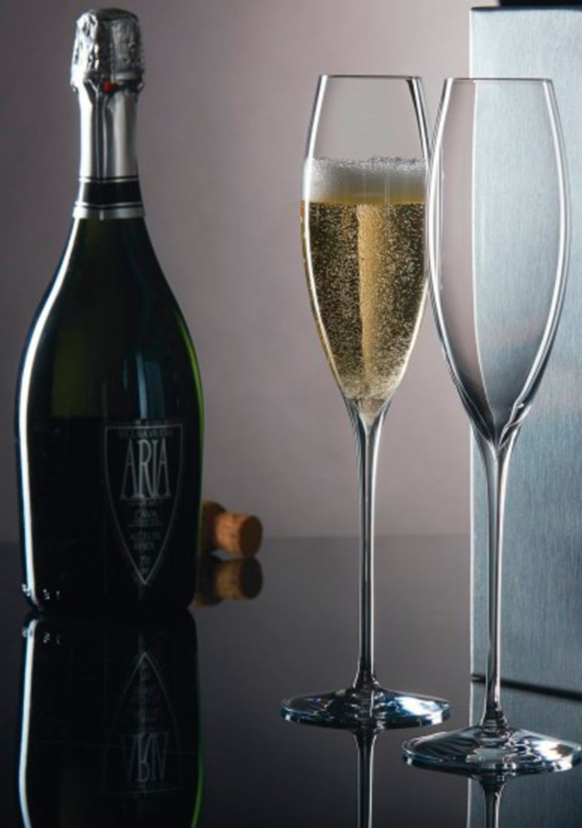Set of 2 Elegance Collection Champagne Classic Flute