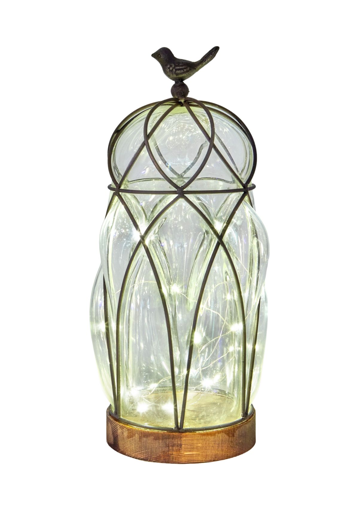 Paradise Lighting Decorative Accent