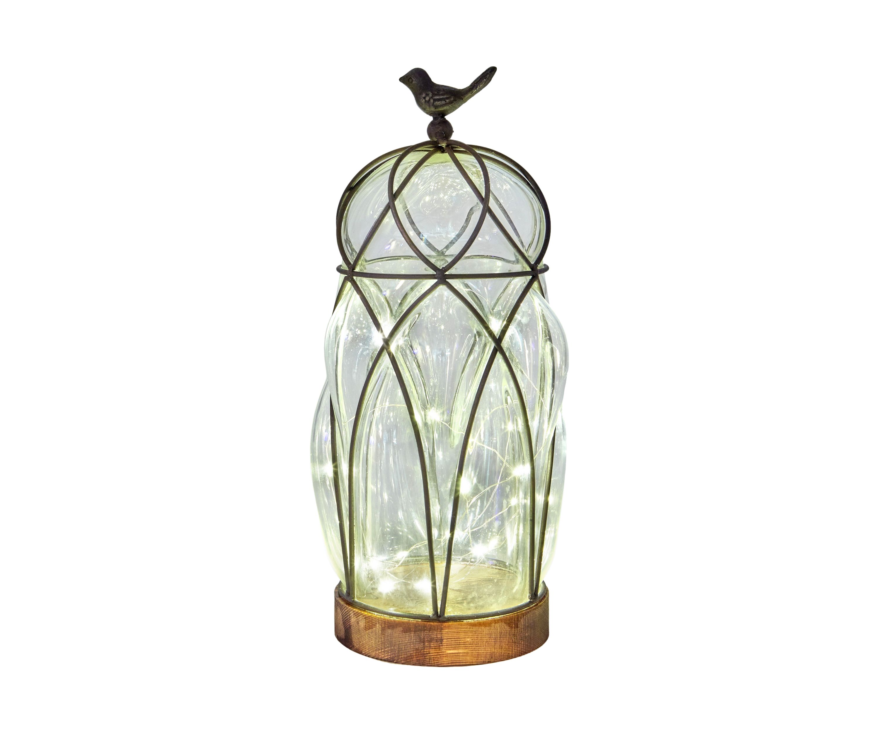 Paradise Lighting Decorative Accent
