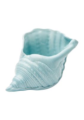 Light Blue Conch Shell