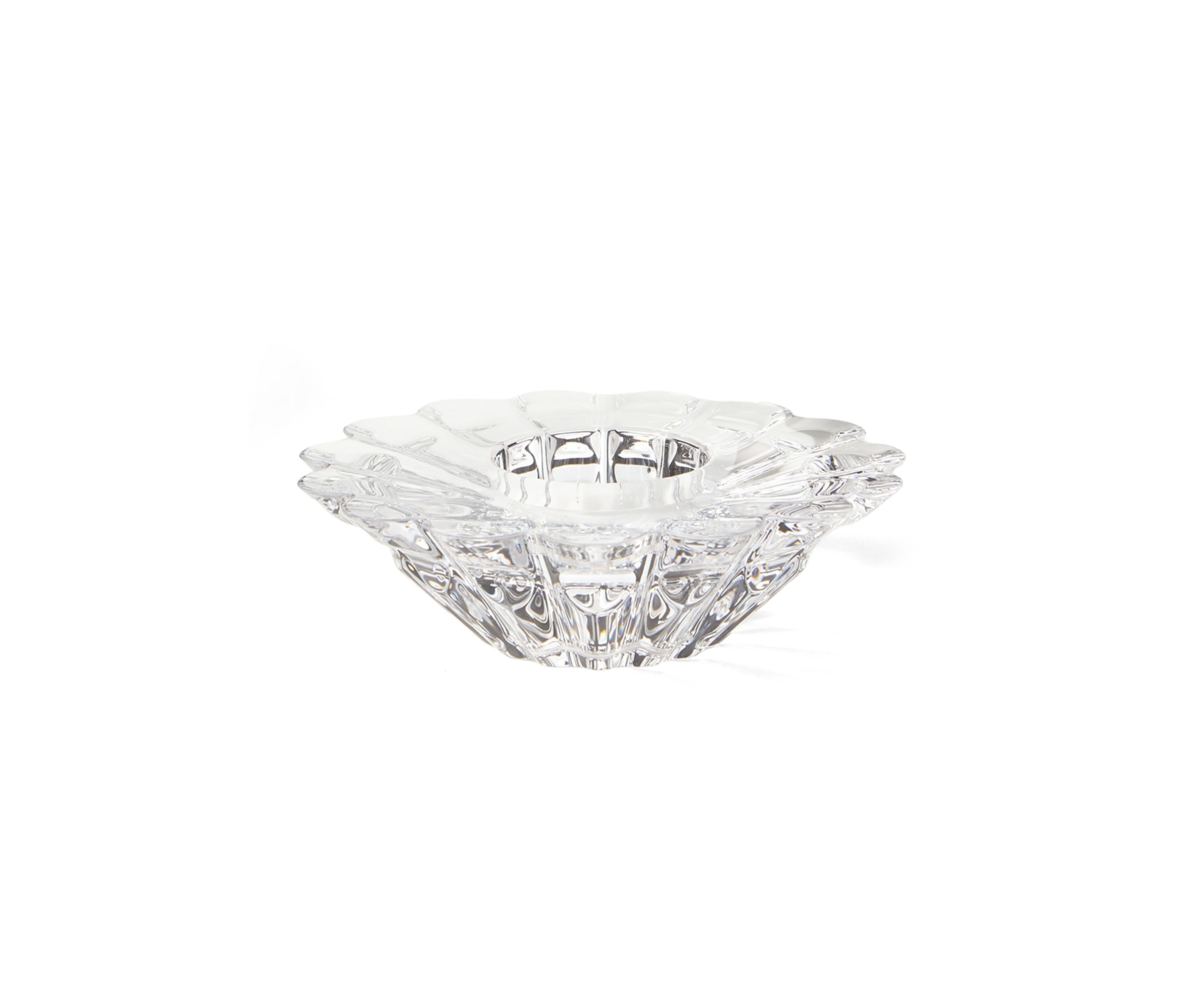 Aster 6" Votive