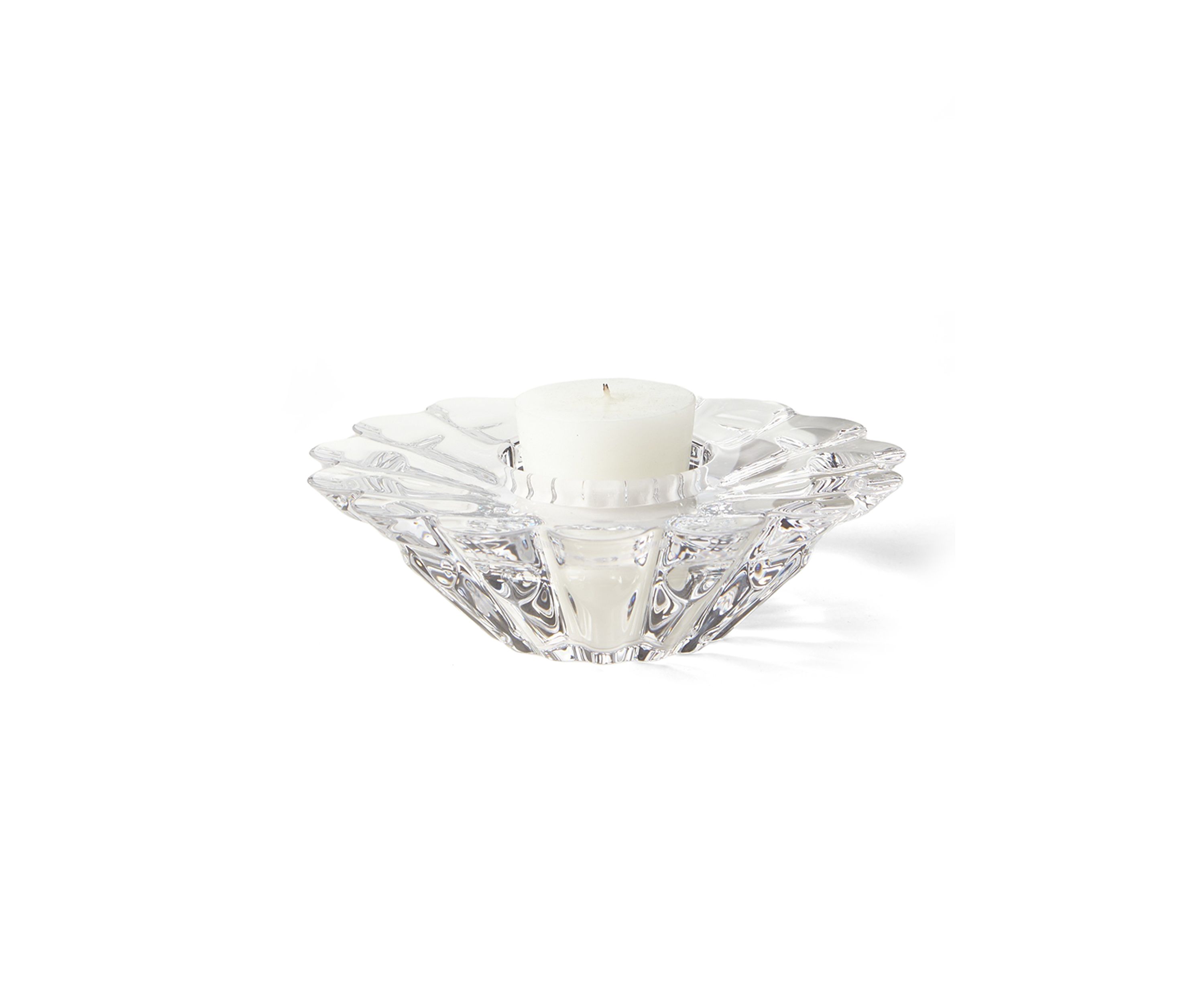 Aster 6" Votive