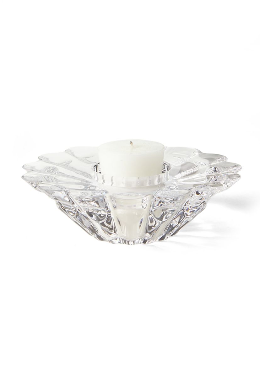 Aster 6" Votive
