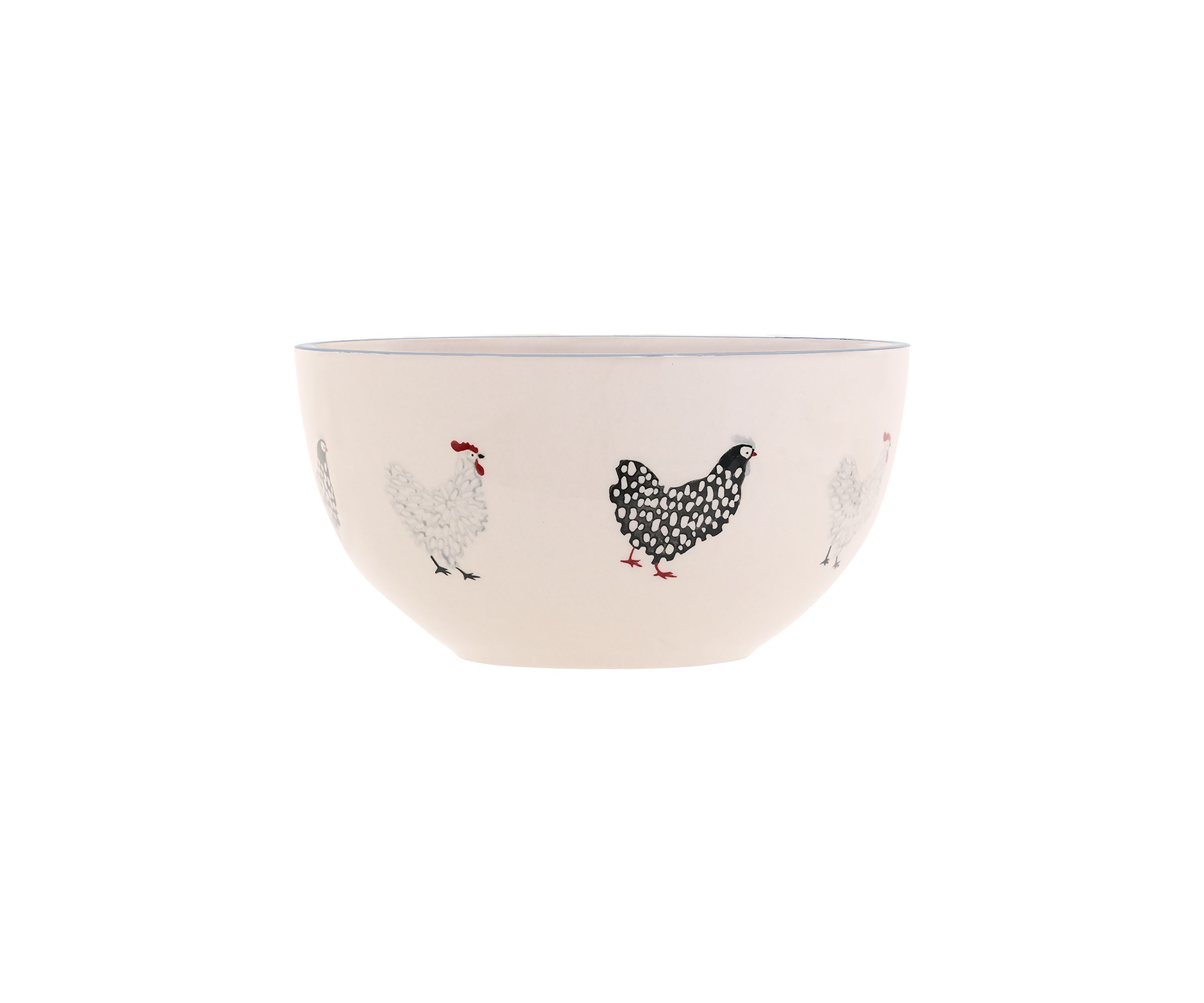 Coop 16 Piece Dinnerware Set 