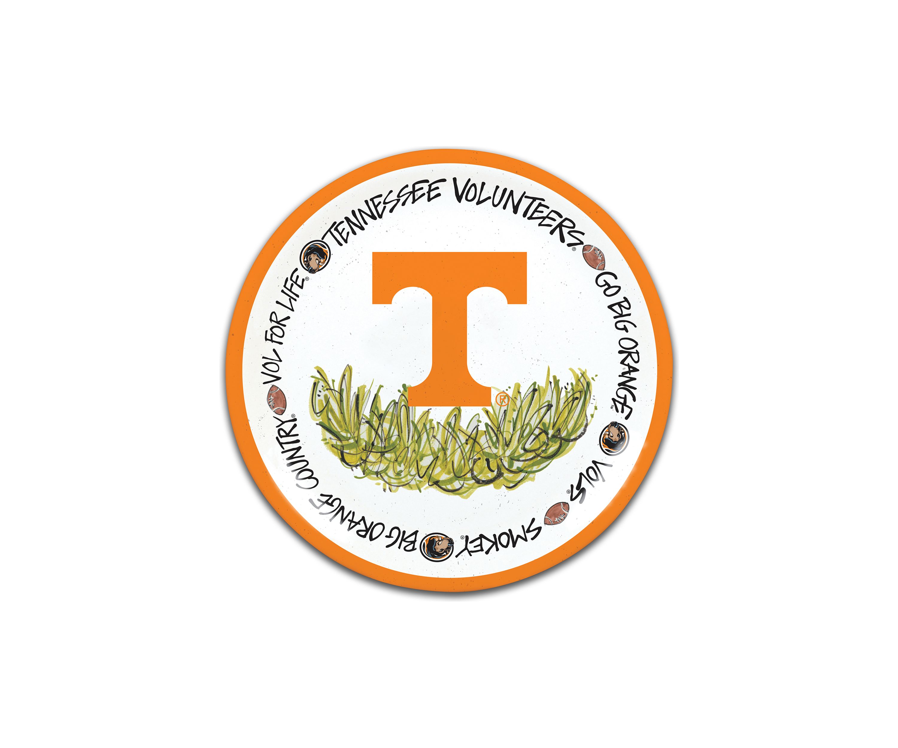 NCAA Tennessee Volunteers Plate Set 