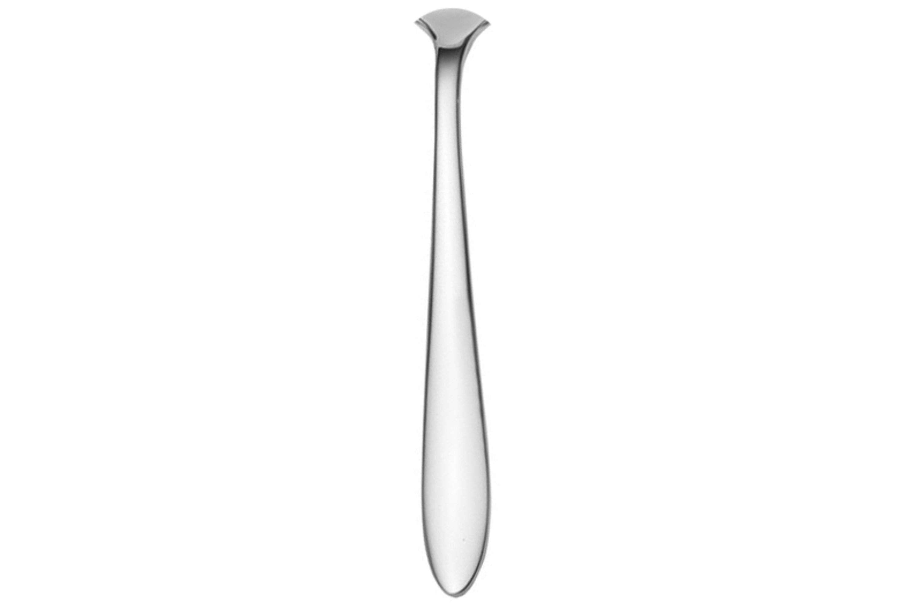 International Silver Felice 20-pc Flatware Set, Service for 4