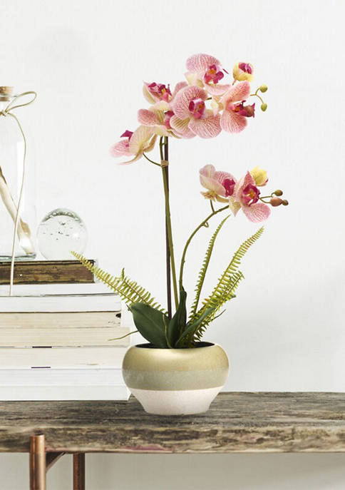 Bazaar Plastic Pink Orchid in Ceramic Pot