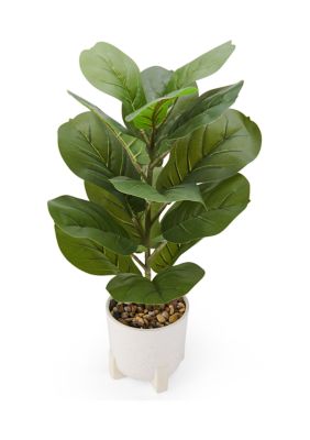 Elements Fiddle Leaf Fig in Ivory Ceramic Pot Farmhouse Faux Greenery  Tabletop Centerpiece Mantel, 20 inch