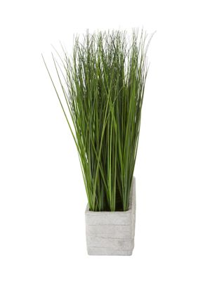 Rectangular Potted Grass