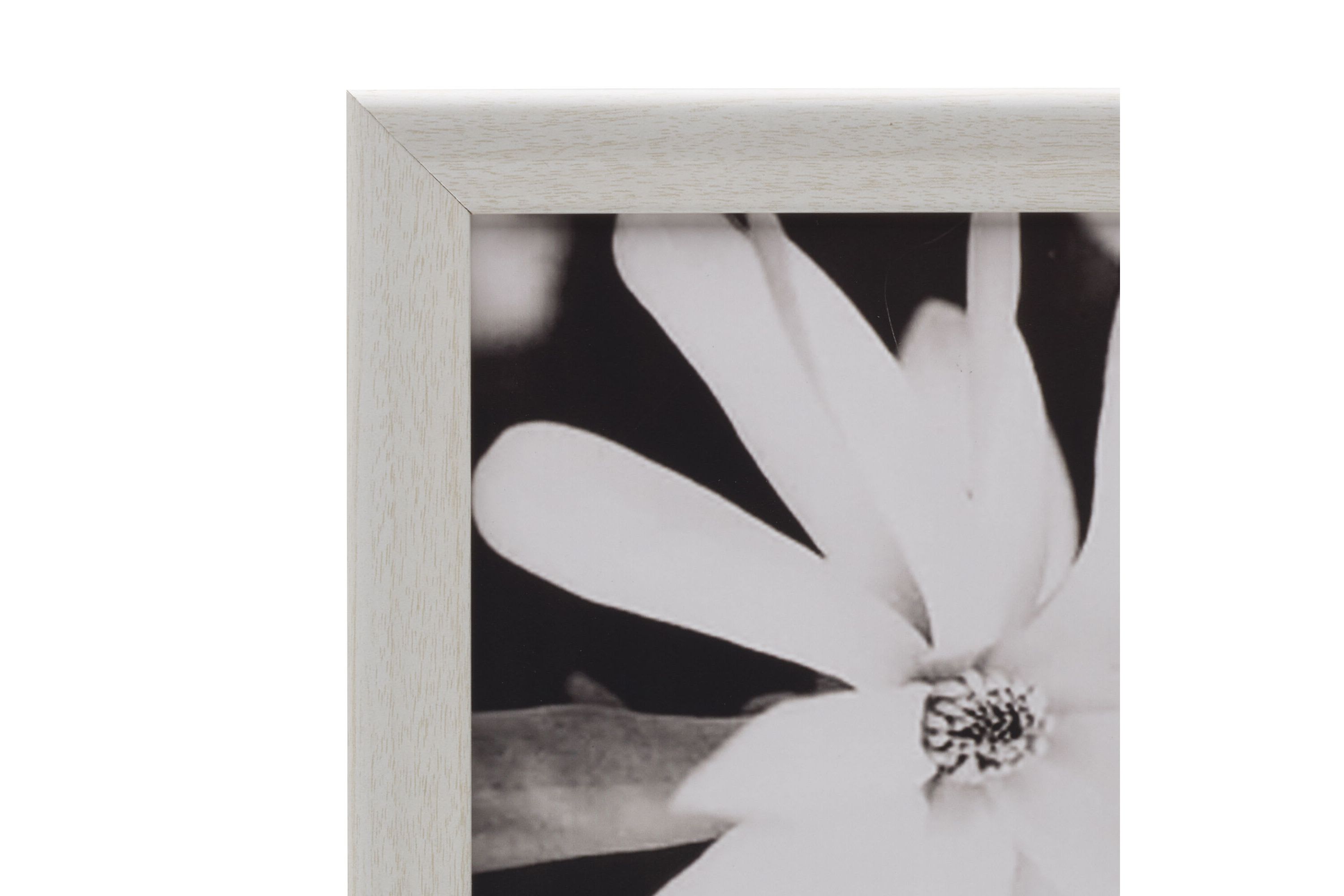 Set of 9 9.25-in Photo Frames-8-in x 8-in Photos, White