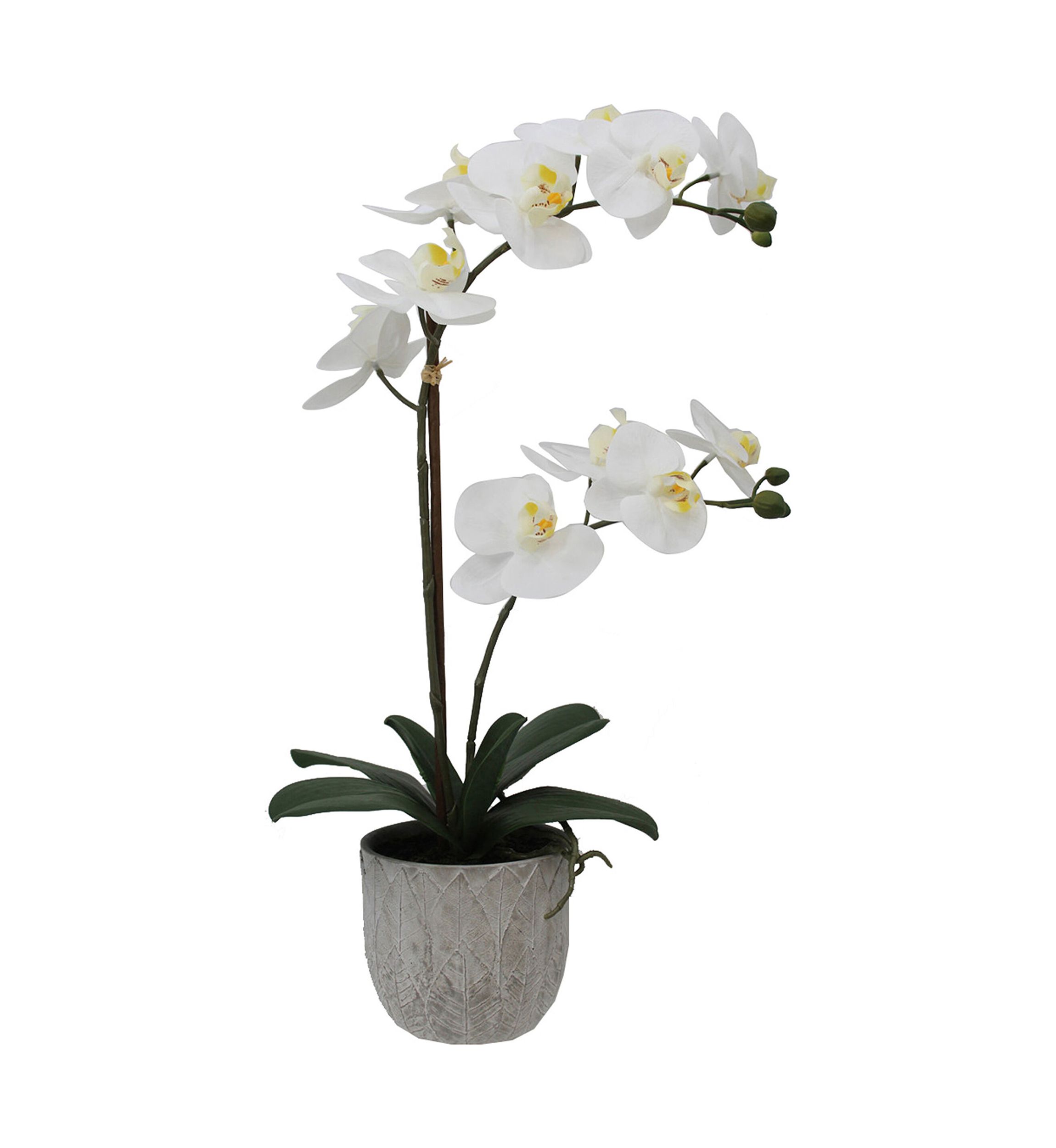 White Orchard & Decorative Pot