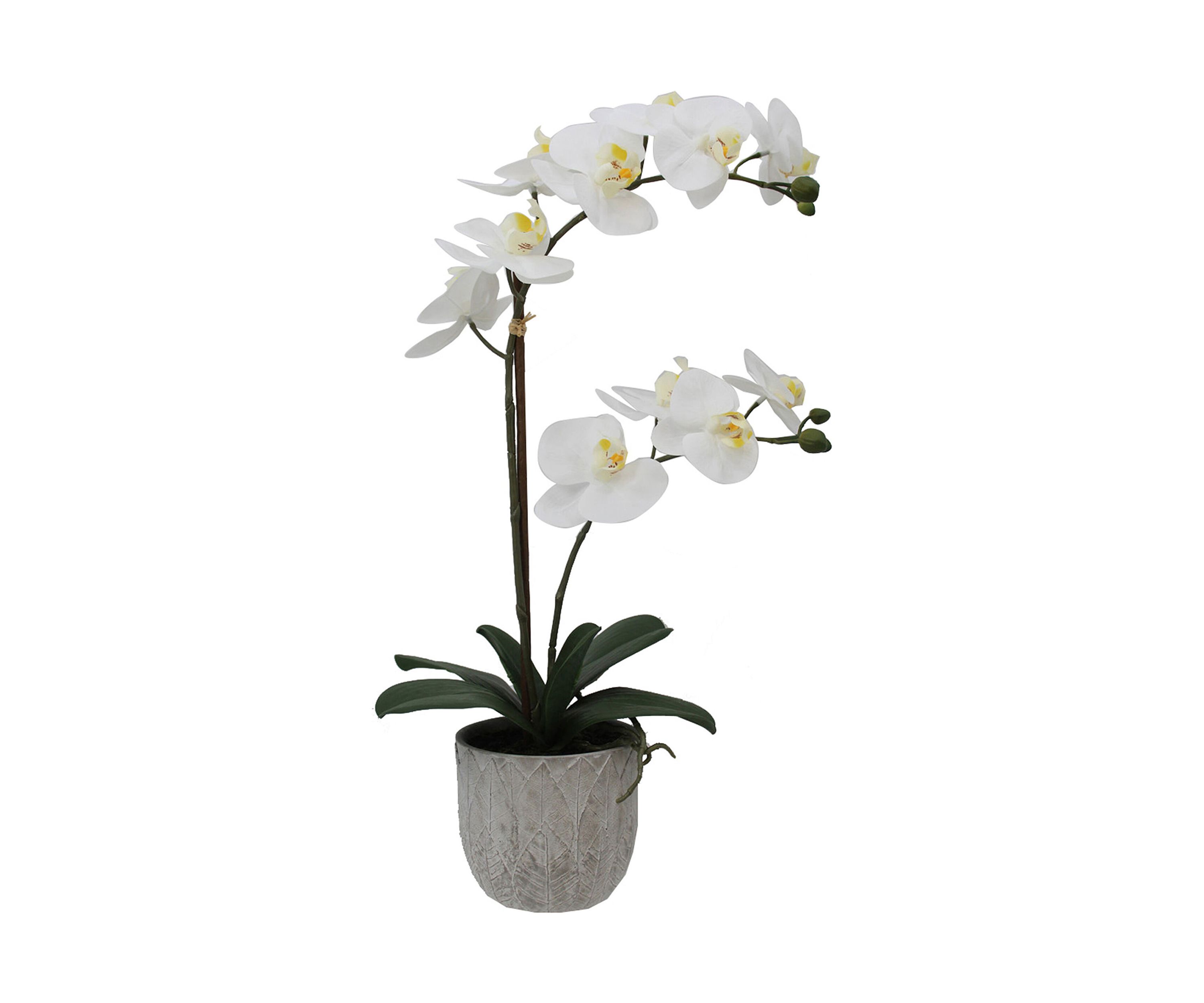 White Orchard & Decorative Pot
