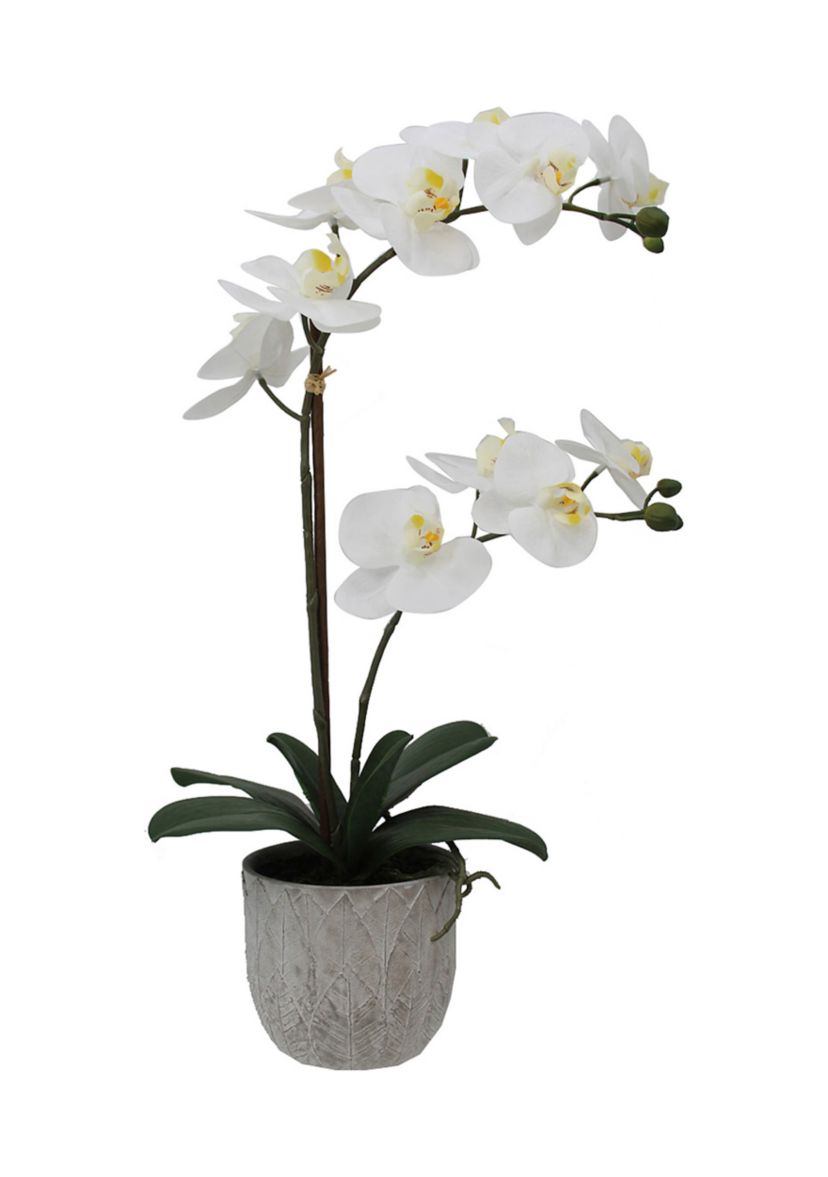 White Orchard & Decorative Pot