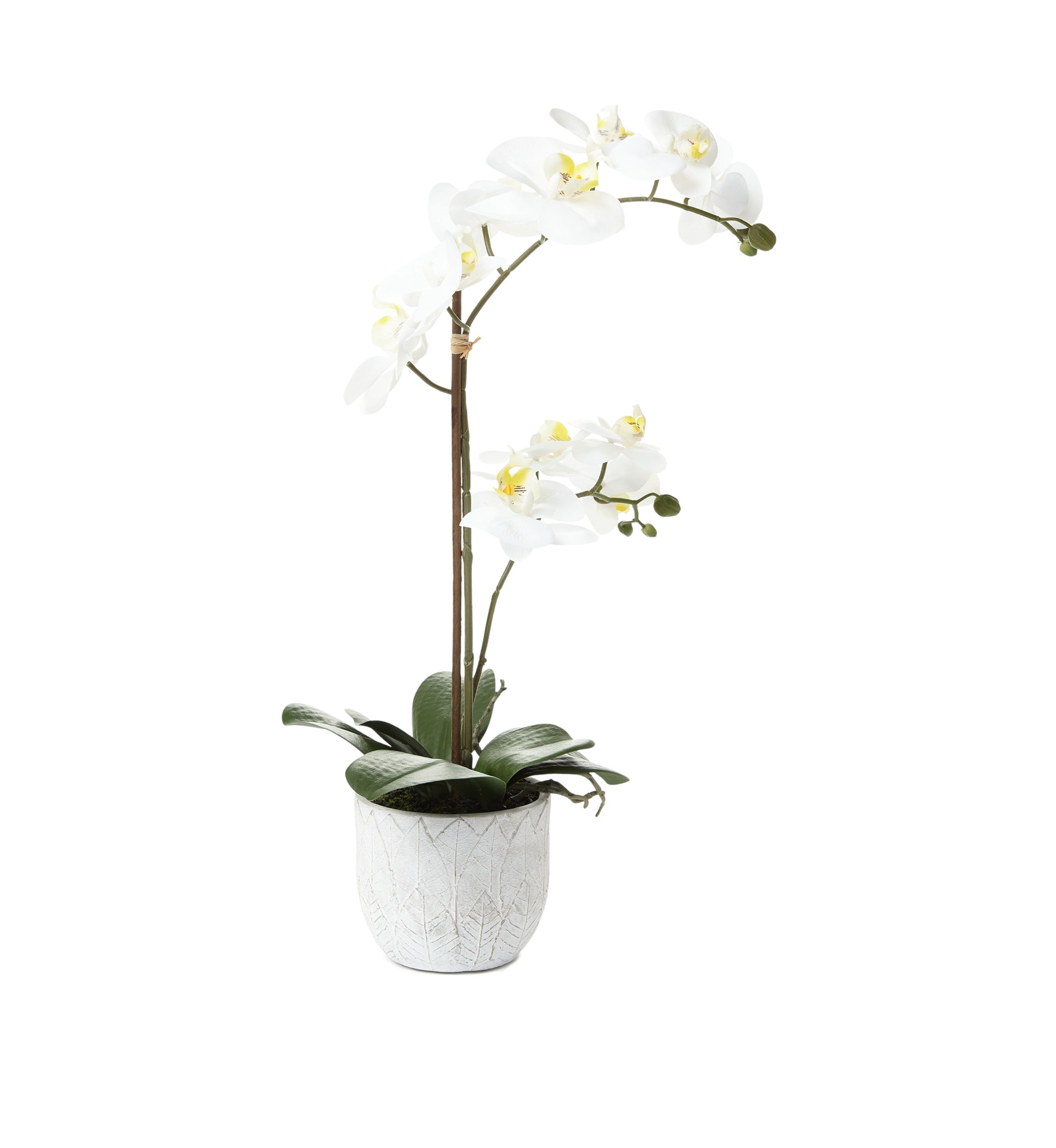 White Orchid Artificial Greenery