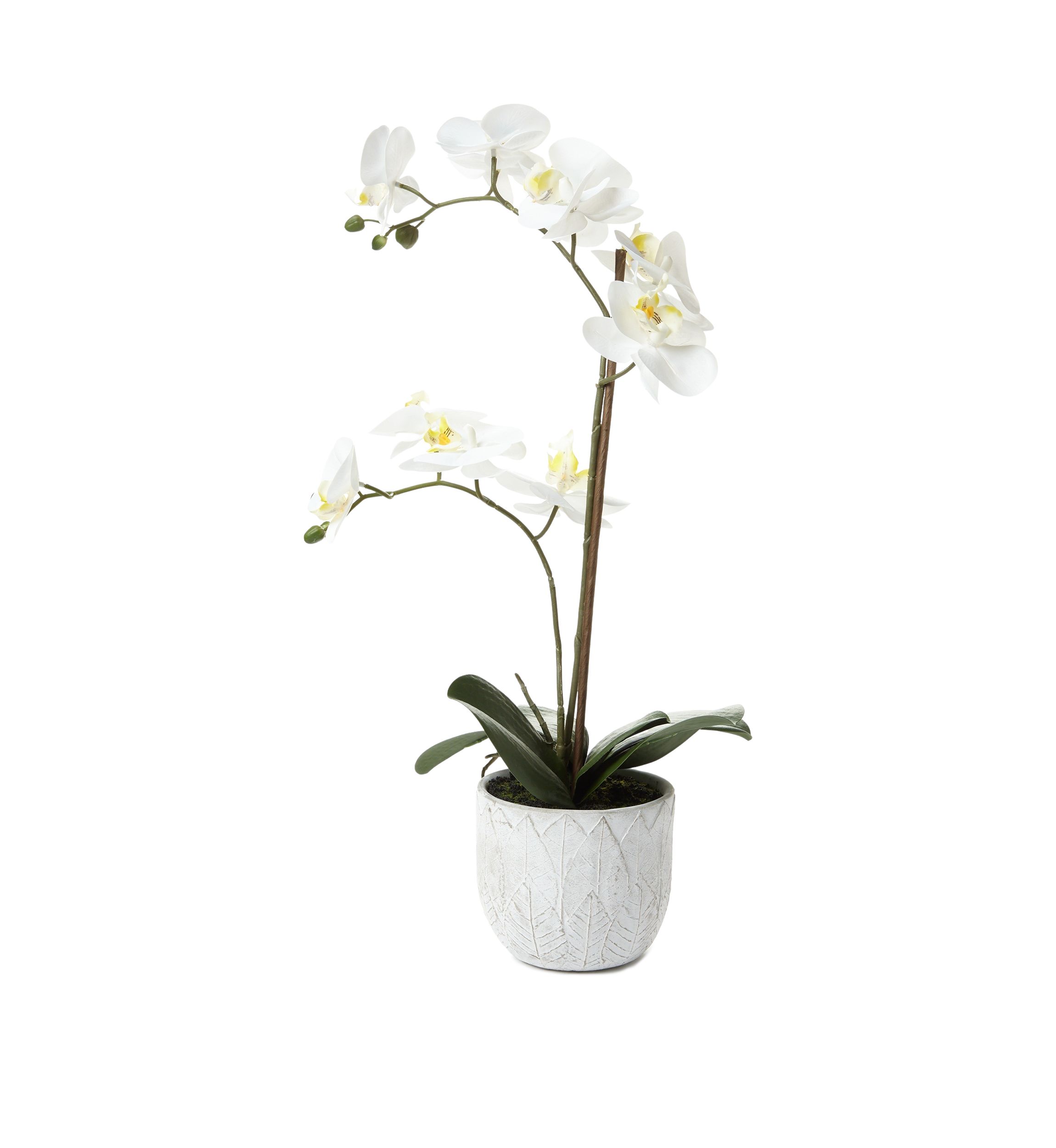 White Orchid Artificial Greenery