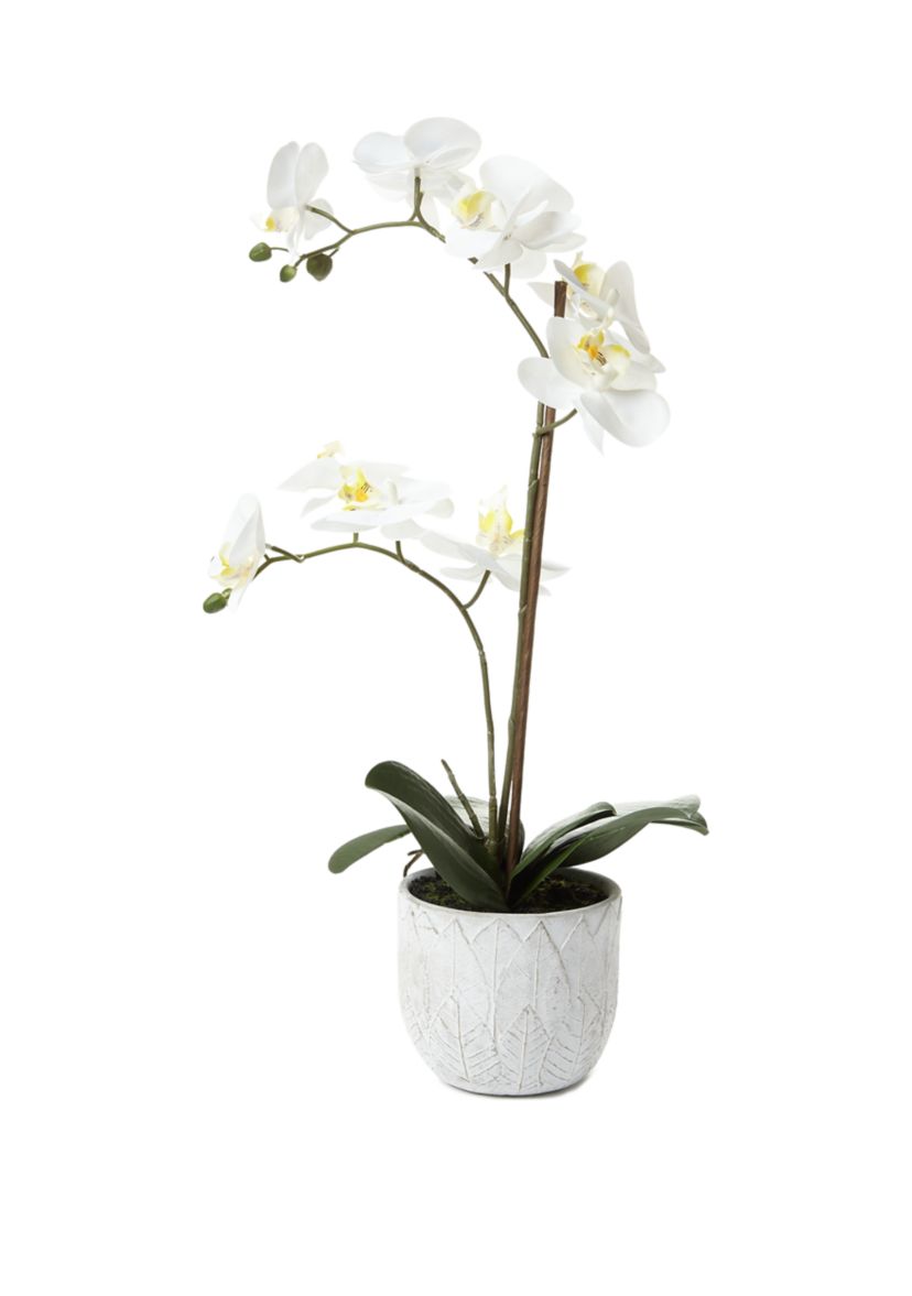 White Orchid Artificial Greenery