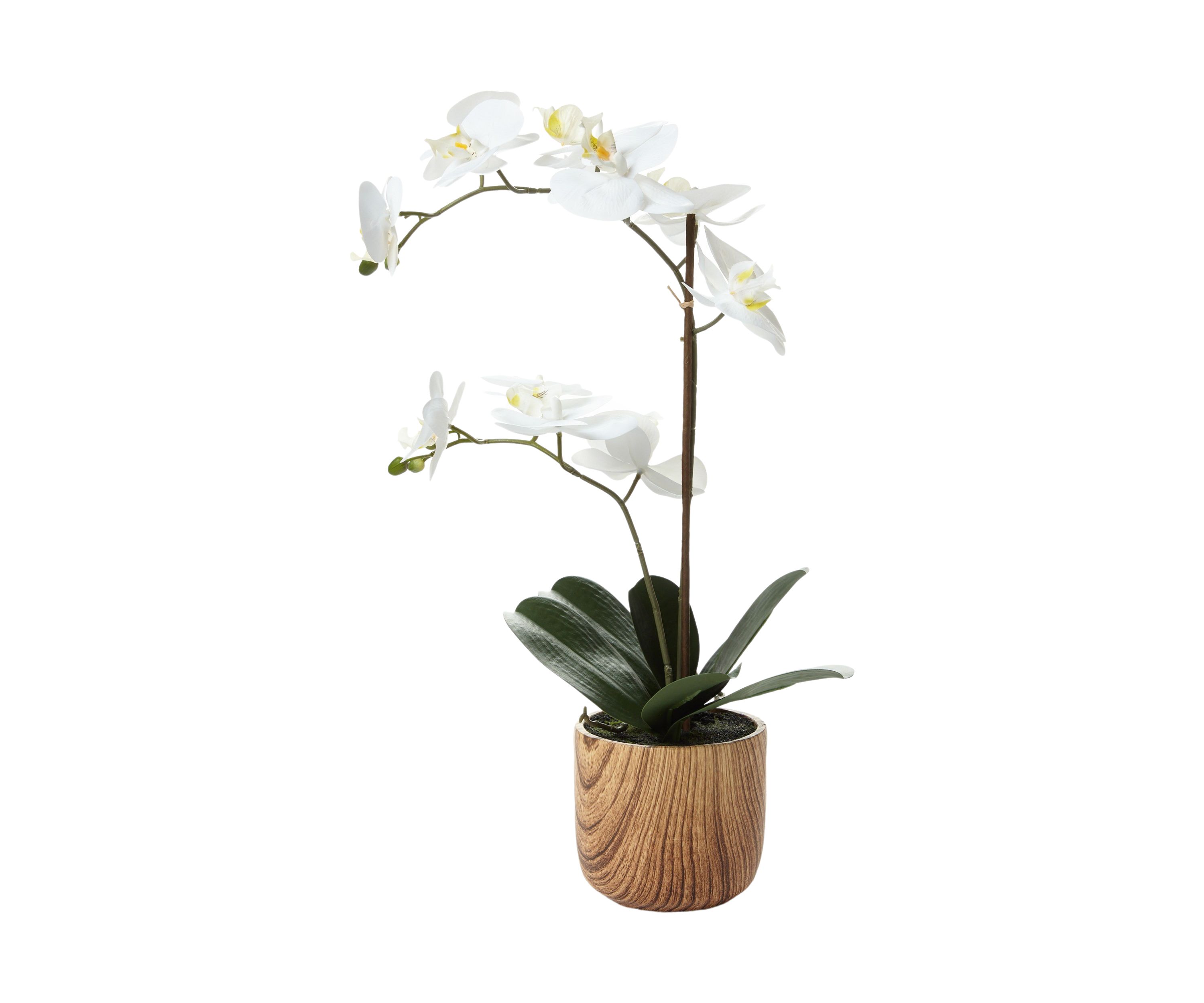 White Orchid Artificial Greenery