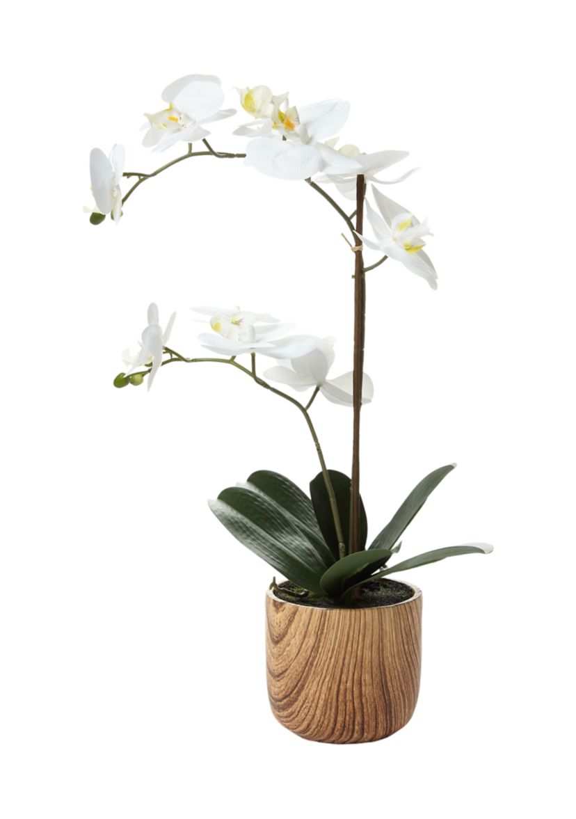 White Orchid Artificial Greenery