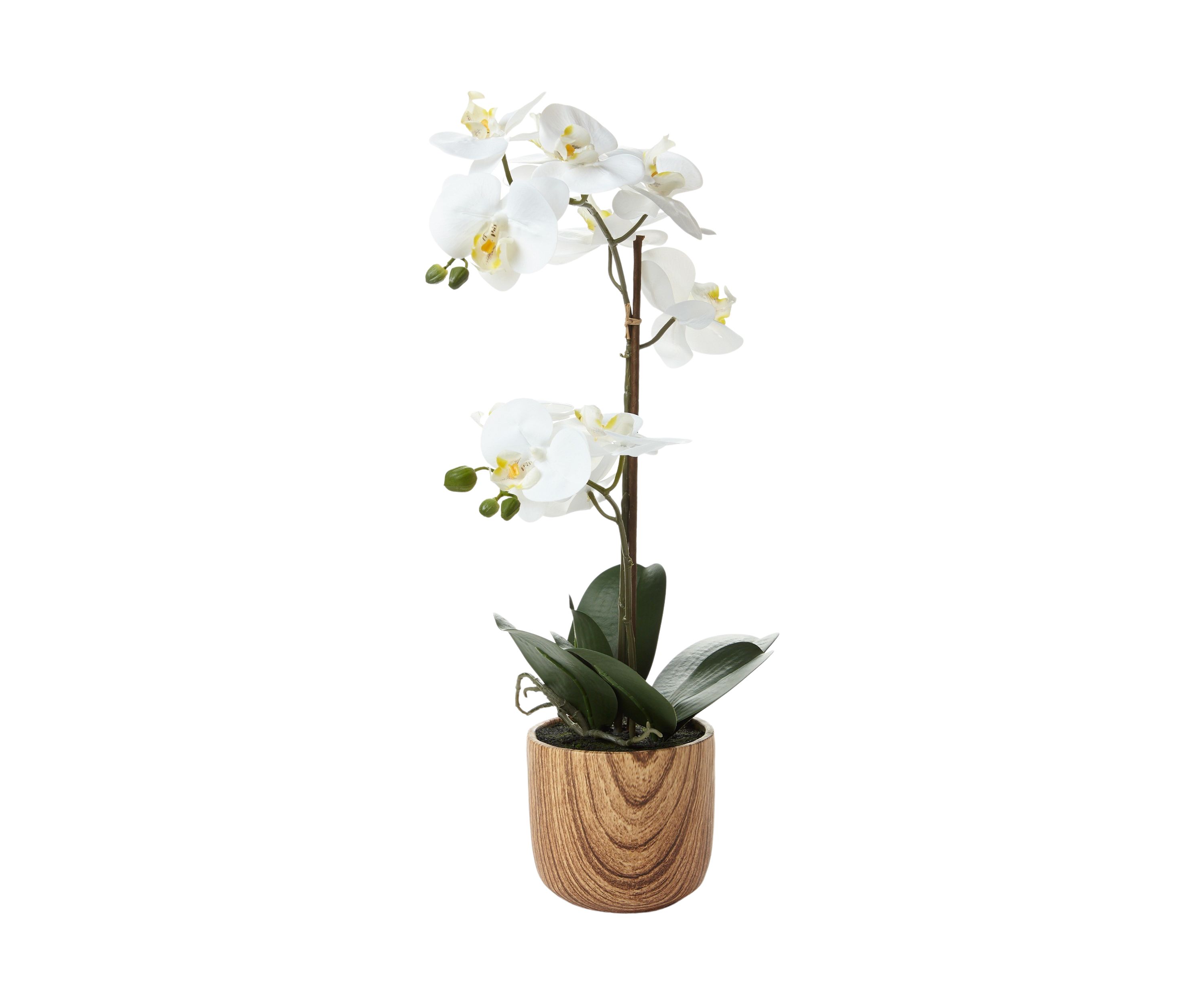 White Orchid Artificial Greenery