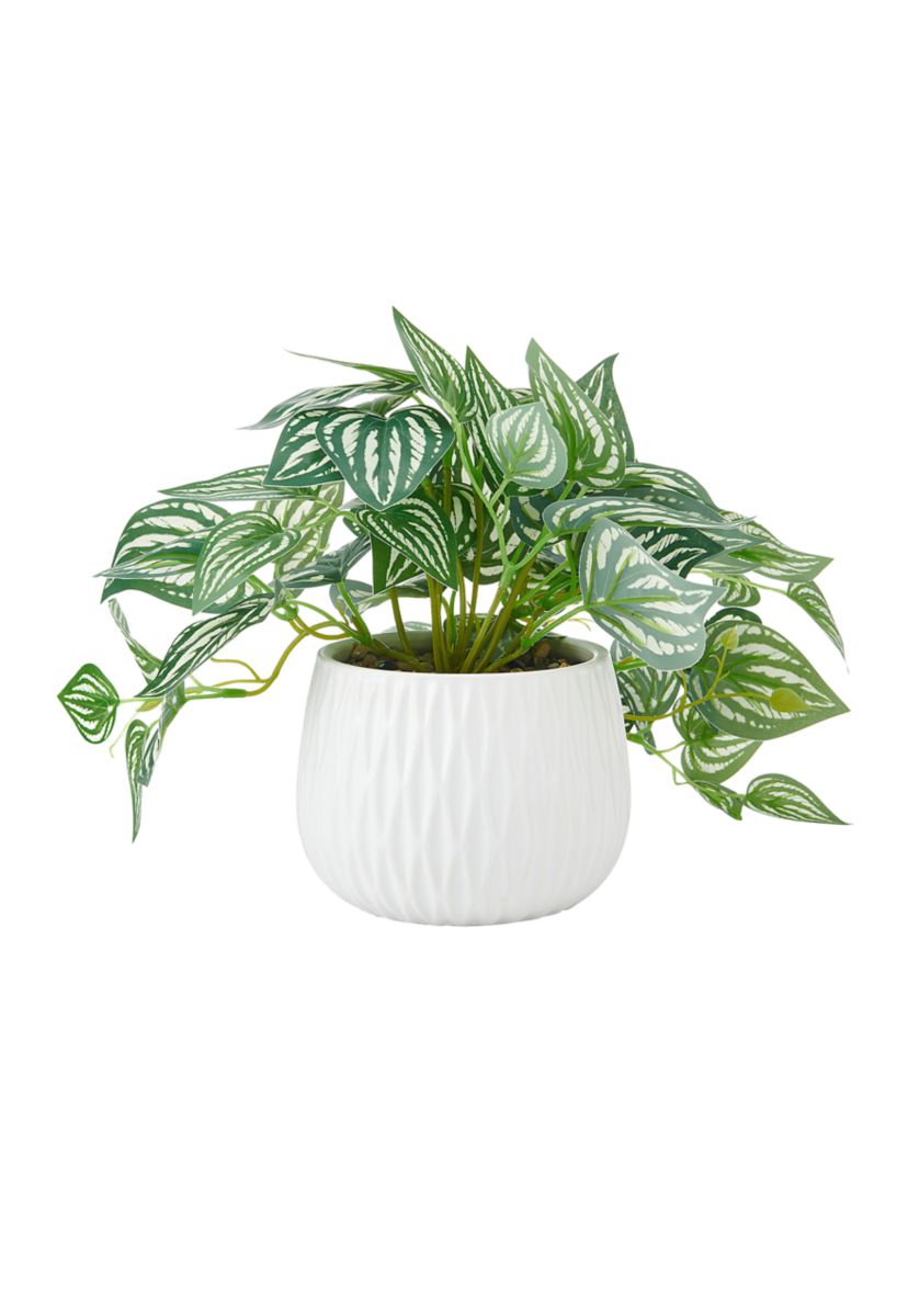 Striped Pothos Artificial Greenery in Ceramic Pot